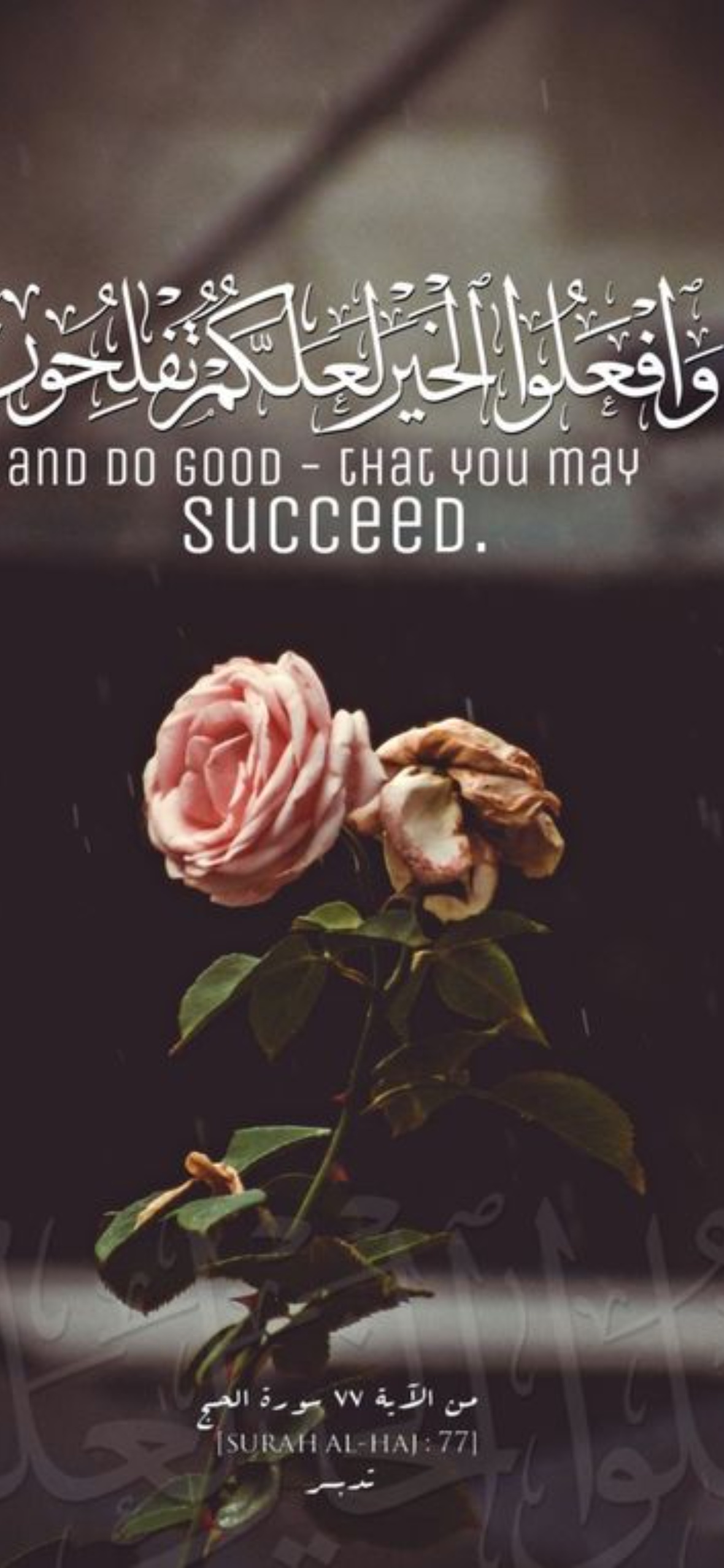 Best Islamic Quotes iPhone Wallpaper [ HQ ]