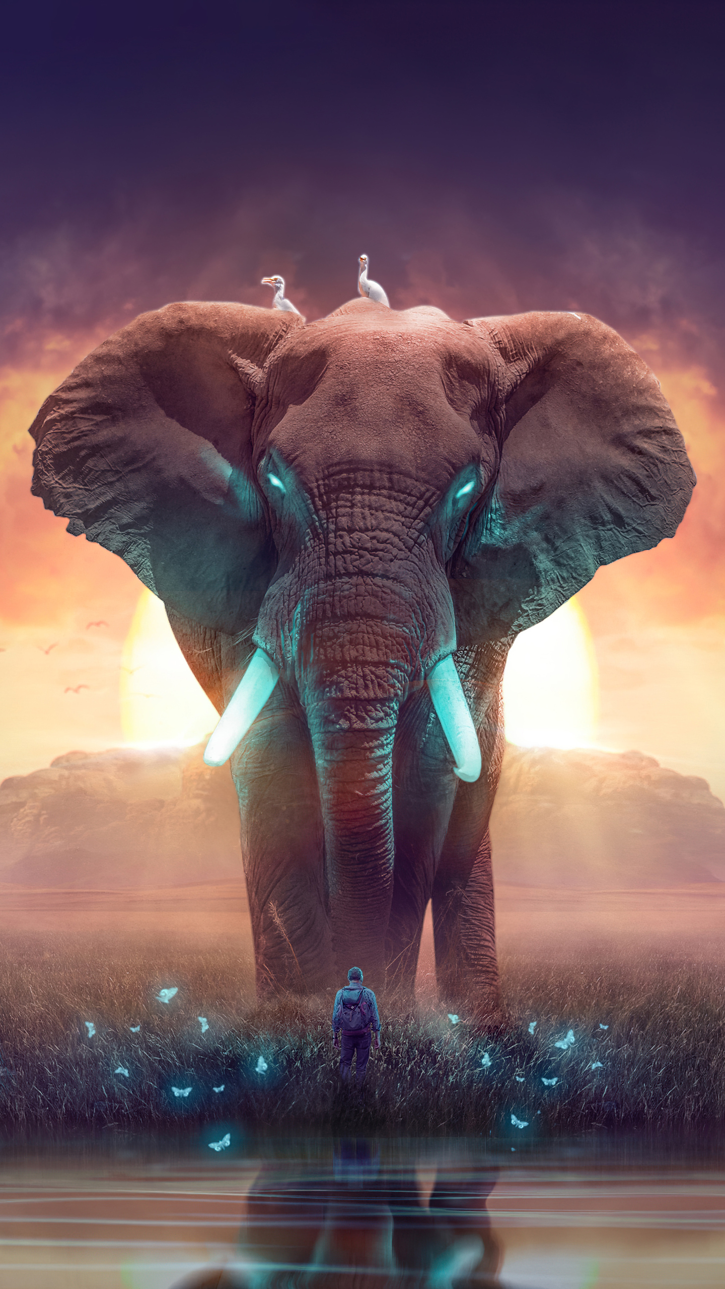 The Elephant Dream Samsung Galaxy S6, S7 , Google Pixel XL , Nexus 6, 6P , LG G5 HD 4k Wallpaper, Image, Background, Photo and Picture