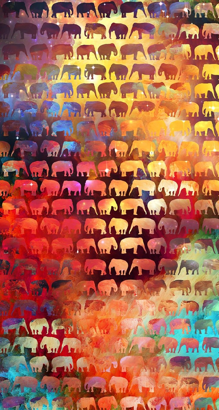 Colorful elephant wallpaper. Elephant wallpaper, Elephant phone wallpaper, Elephant art