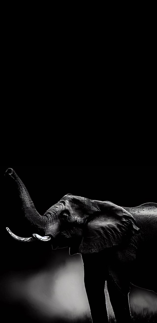 Elephant in night [1440x2960]