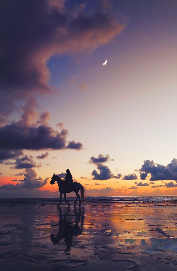 Ilhouette photo of person riding on horse wallpaper phone. Silhouette photo, View wallpaper, Horse wallpaper