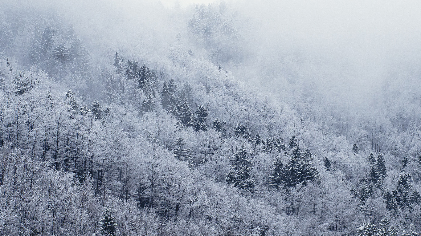wallpaper for desktop, laptop. mountain wood winter christmas white