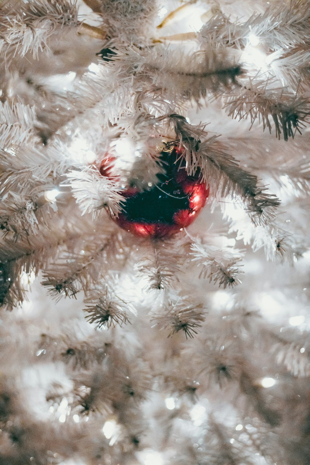 Red bauble on white Christmas tree photo