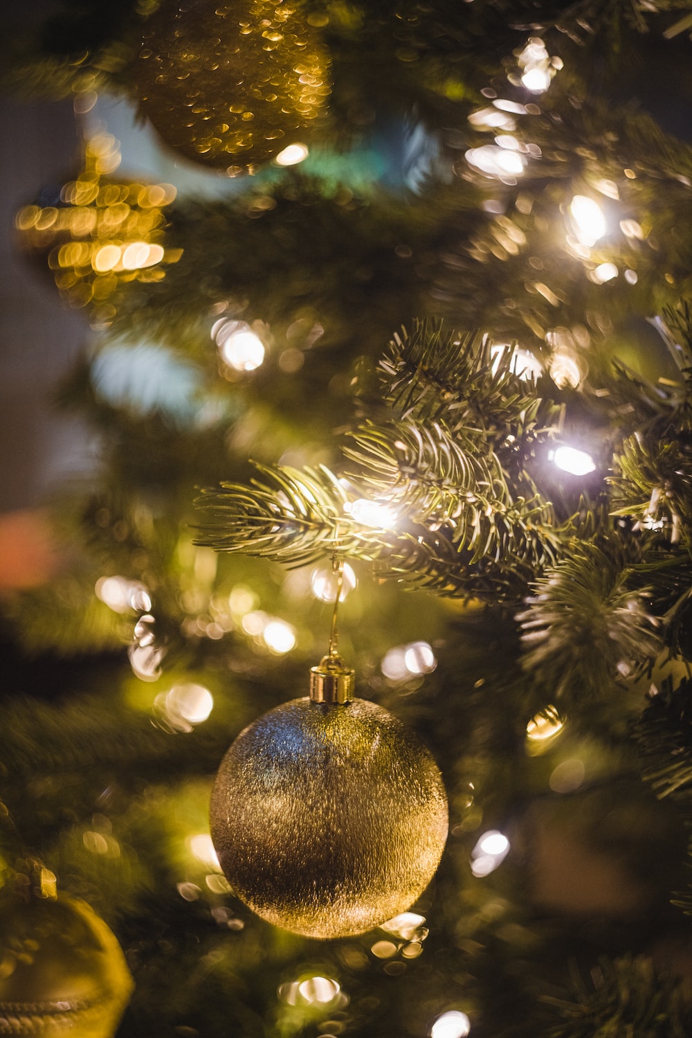 Christmas Scene Picture. Download Free Image