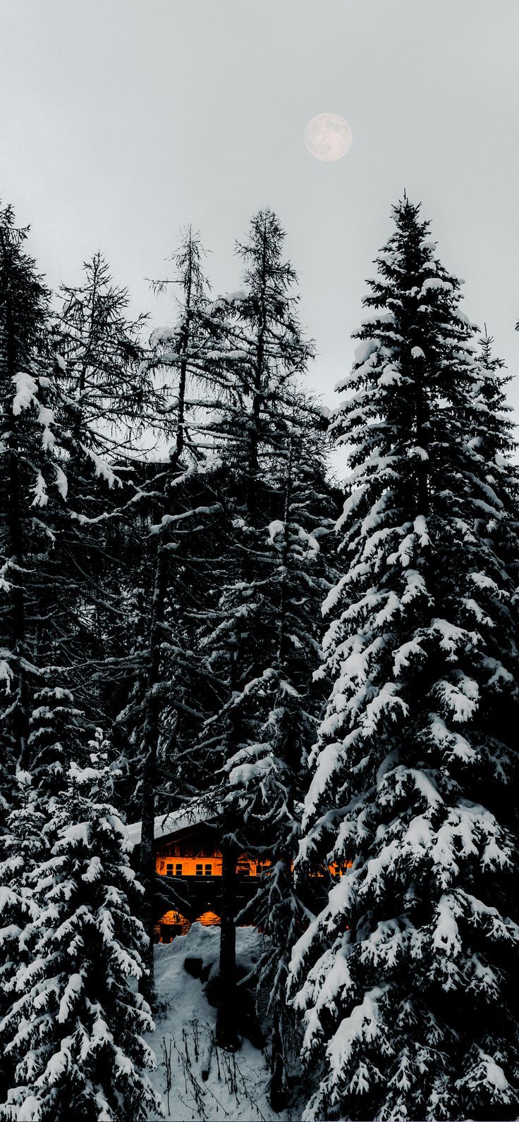 Best Winter Wallpaper for iPhone 12 and 13. Winter wallpaper, iPhone wallpaper winter, February wallpaper