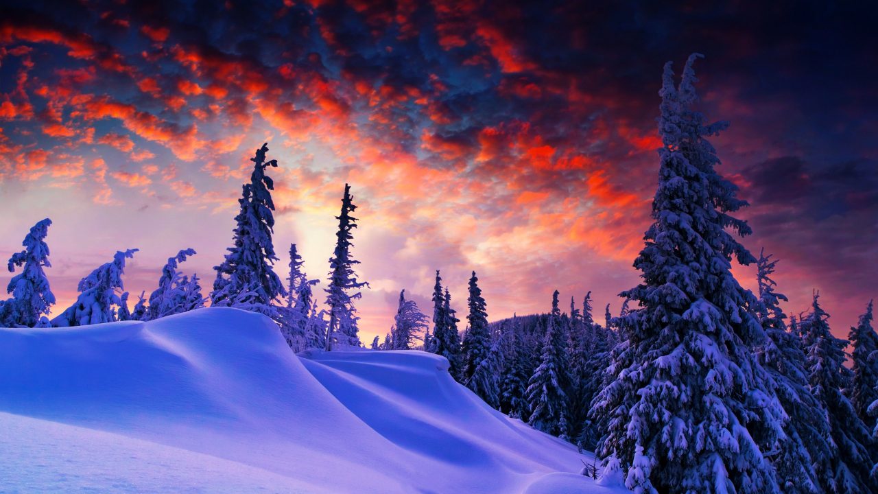 Best Wallpaper Wallpaper Download Full 4K Wallpaper #Blue #Red #Sky #Trees #Snow #Winter #UHDWallpaper KWallpaper #DesktopWallpaper #HDWallpaper #MobileWallpaper #wallpaper