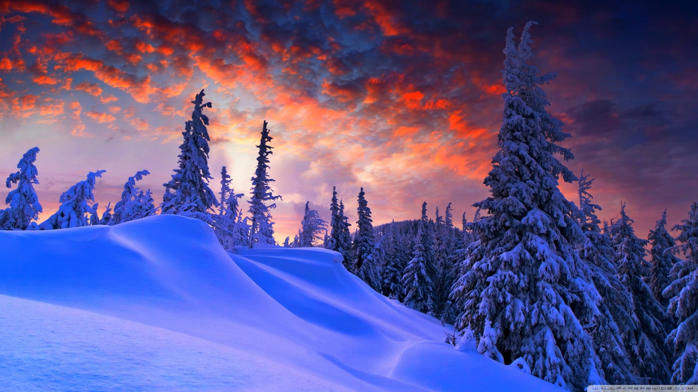 Winter Christmas Ultra HD Desktop Background Wallpaper for 4K UHD TV, Widescreen & UltraWide Desktop & Laptop