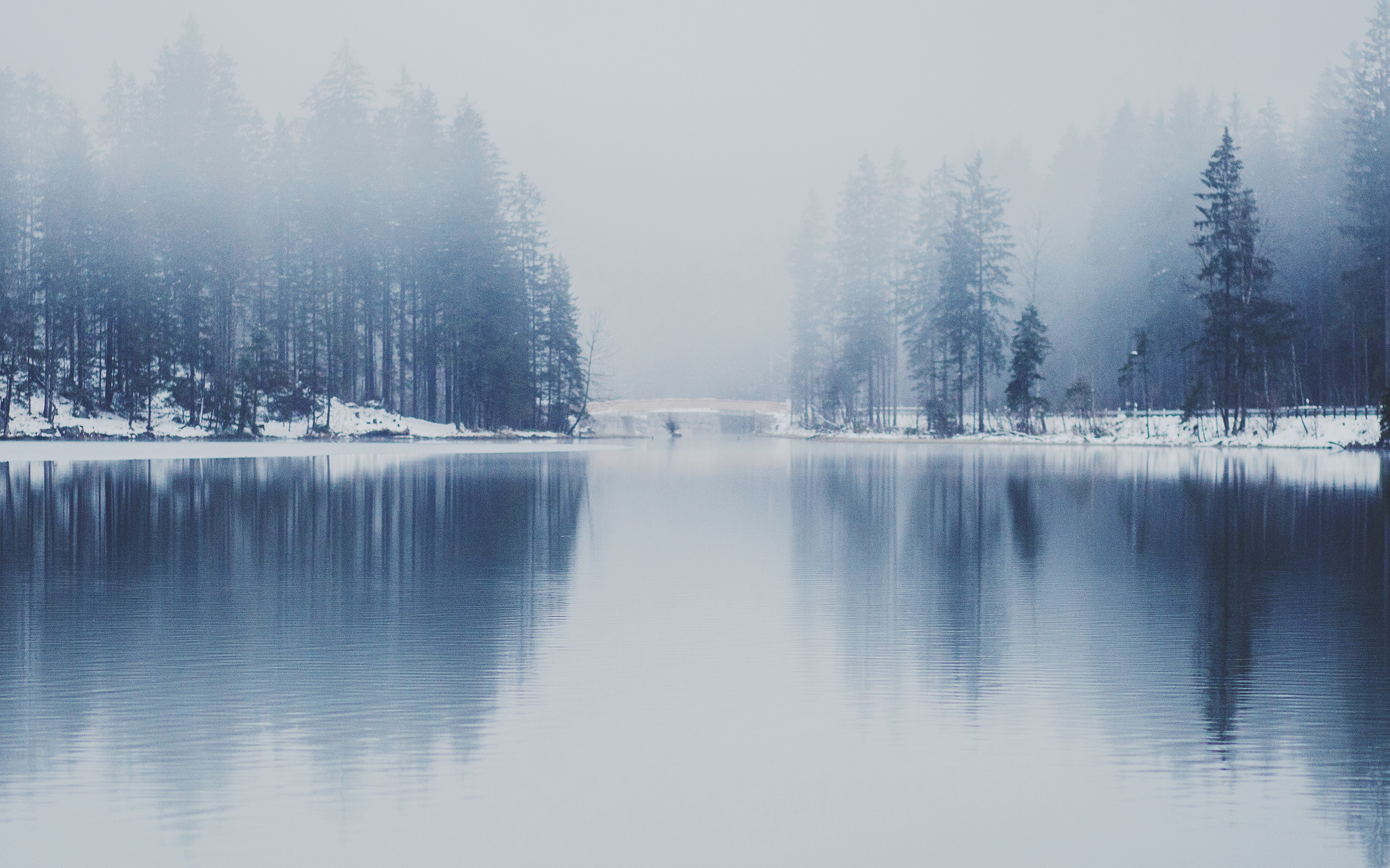 Winter Lake White Blue Wood Nature