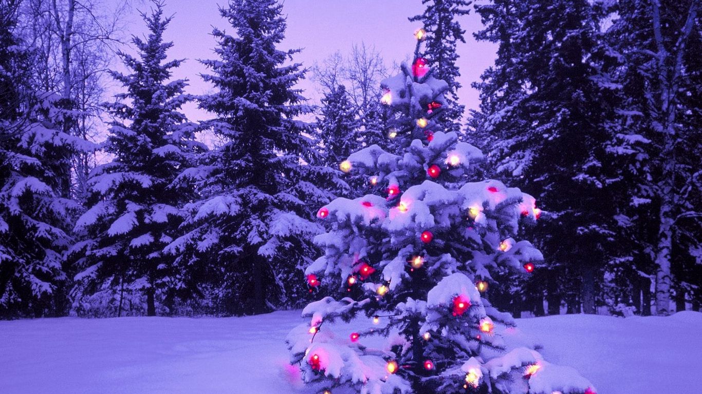 Download Wallpaper 1366x768 Wood, New Year, Christmas, Fur Tree, Fires, Garland, Snow, Winter, Sky, Moon, Evening Tablet, Laptop HD Background