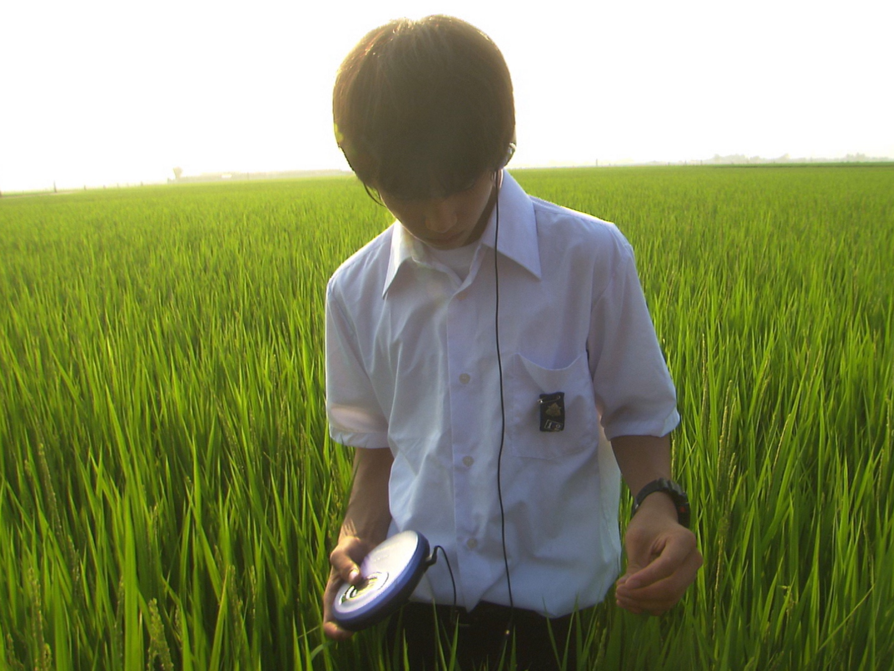 All About Lily Chou Chou