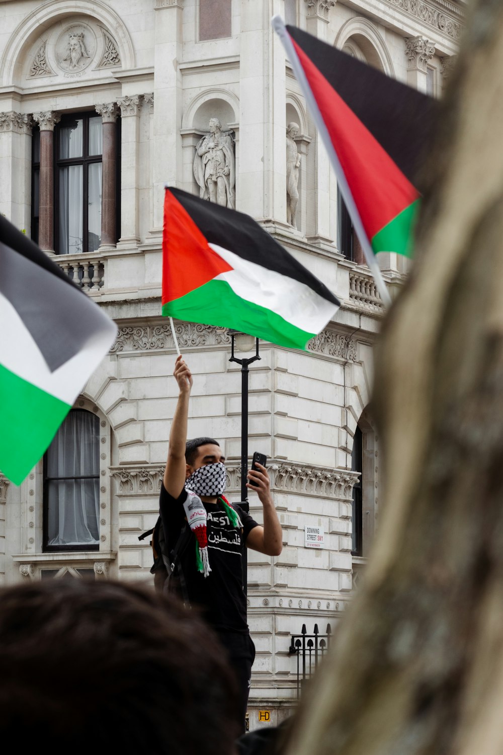 30,Palestine Flag Picture. Download Free Image