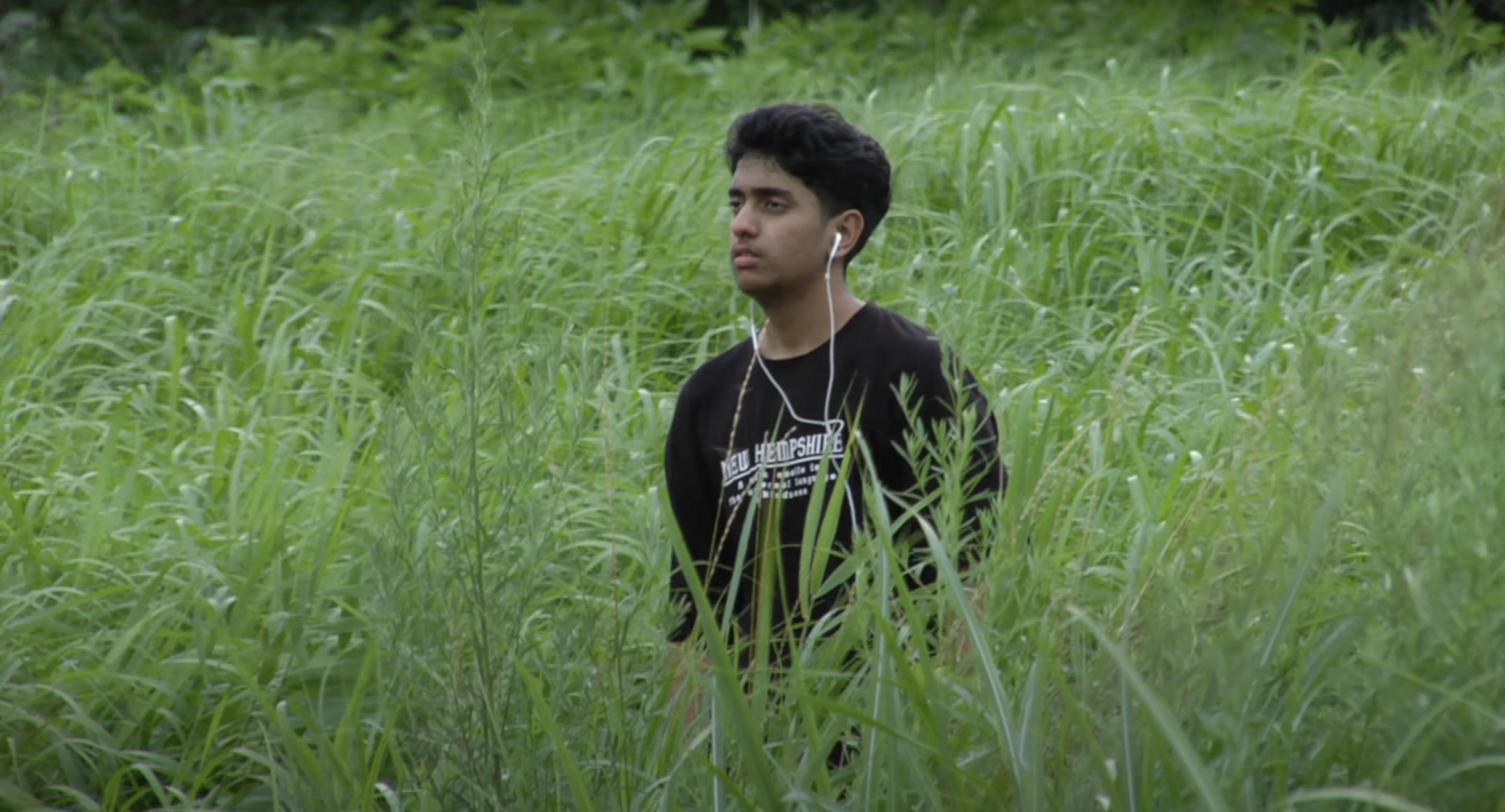 A tribute to Lily Chou Chou on a 17 years old camera