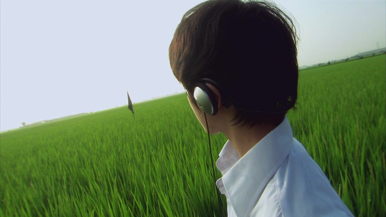 Lily chou chou wallpapers wallpaper cave