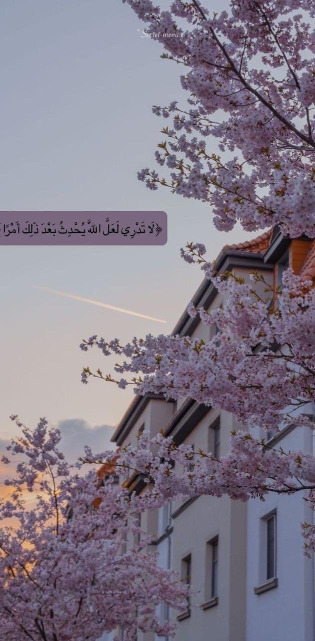 Islamic aesthetic Wallpaper Download