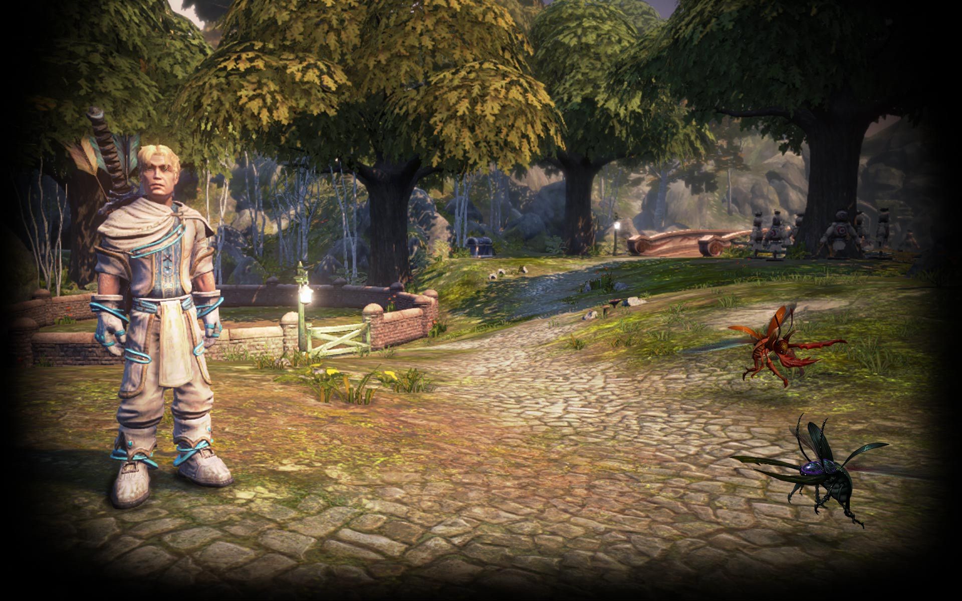 Video Game Fable Anniversary HD Wallpaper