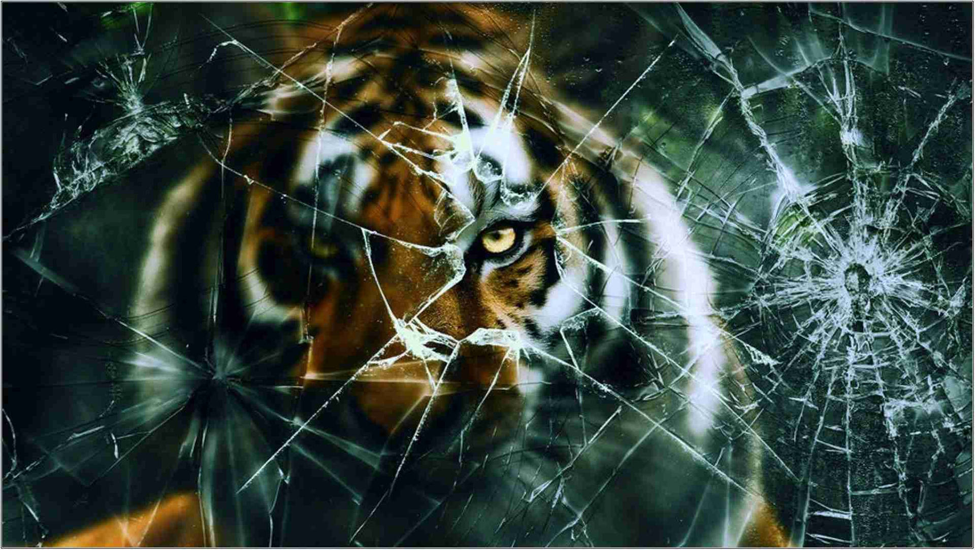 Download Tiger Broken Computer Screen Wallpaper