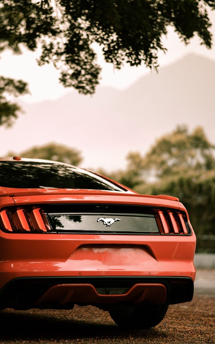 Wallpaper ford rear view car parking ford mustang red. Car wallpaper, Ford mustang, Ford mustang car
