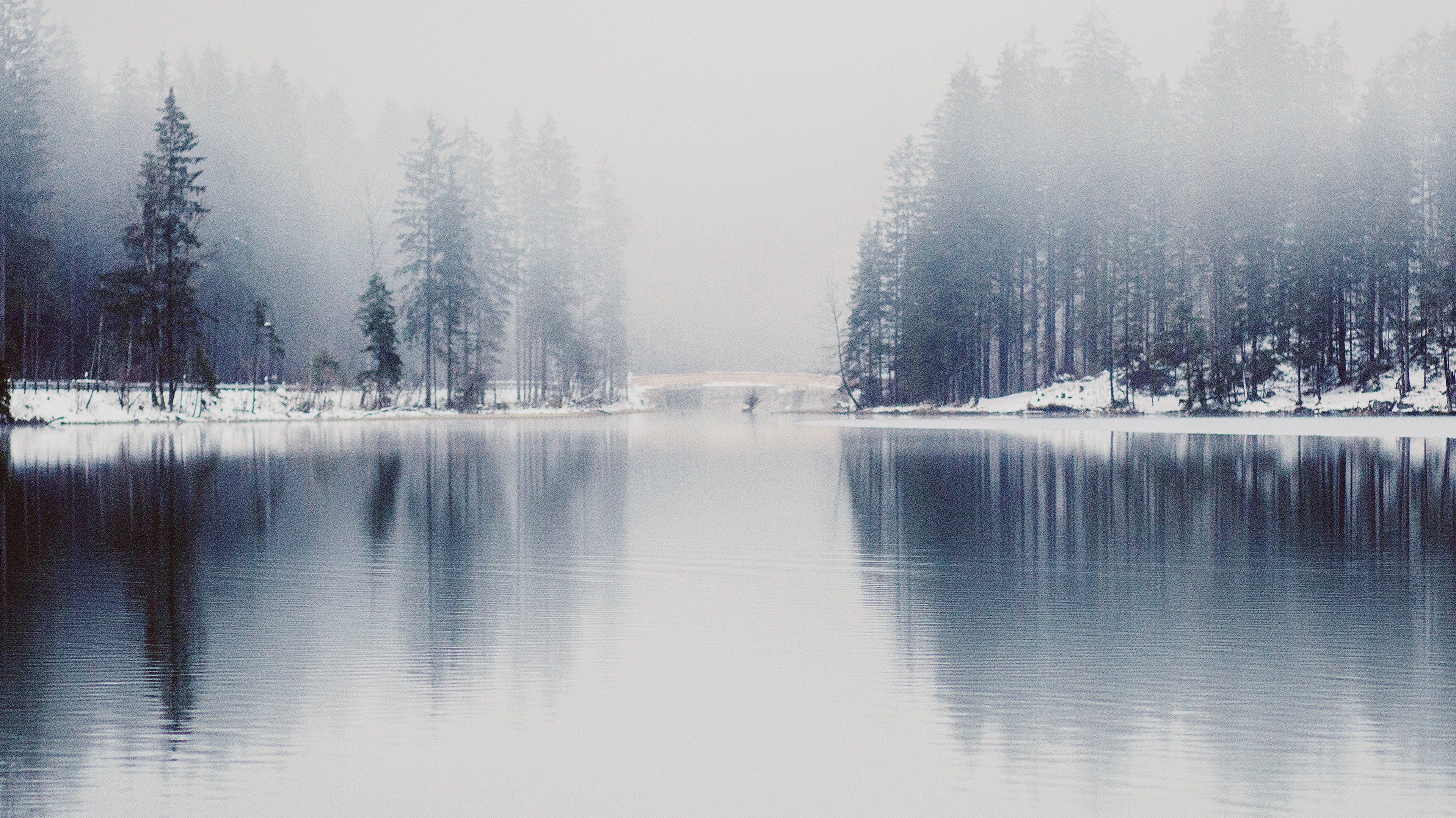 wallpaper for desktop, laptop. winter lake white blue wood nature fog