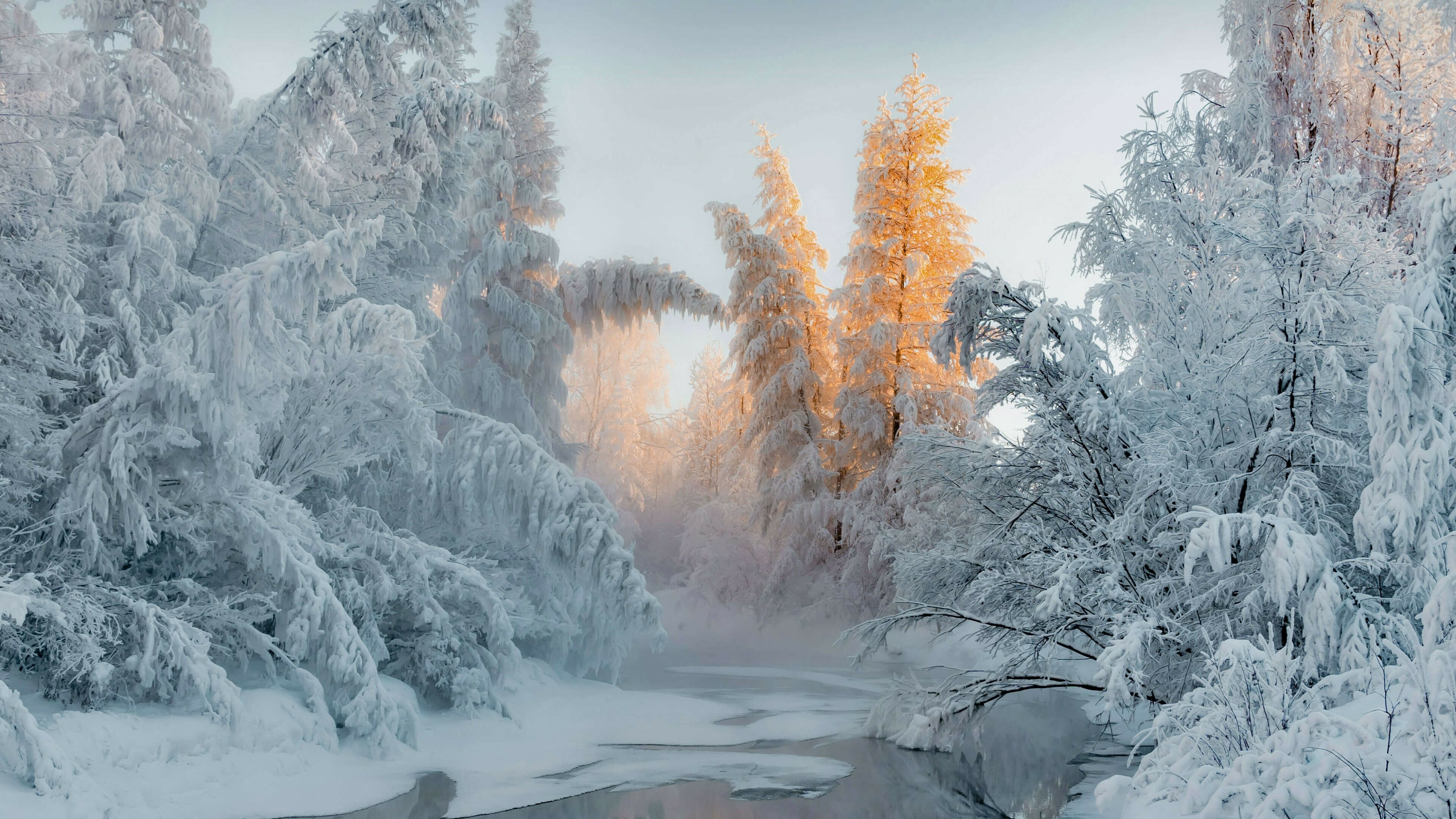 Download wallpaper 3840x2160 forest in winter, frozen trees, river, nature 4k wallpaper, uhd wallpaper, 16:9 widescreen 3840x2160 HD background, 27932
