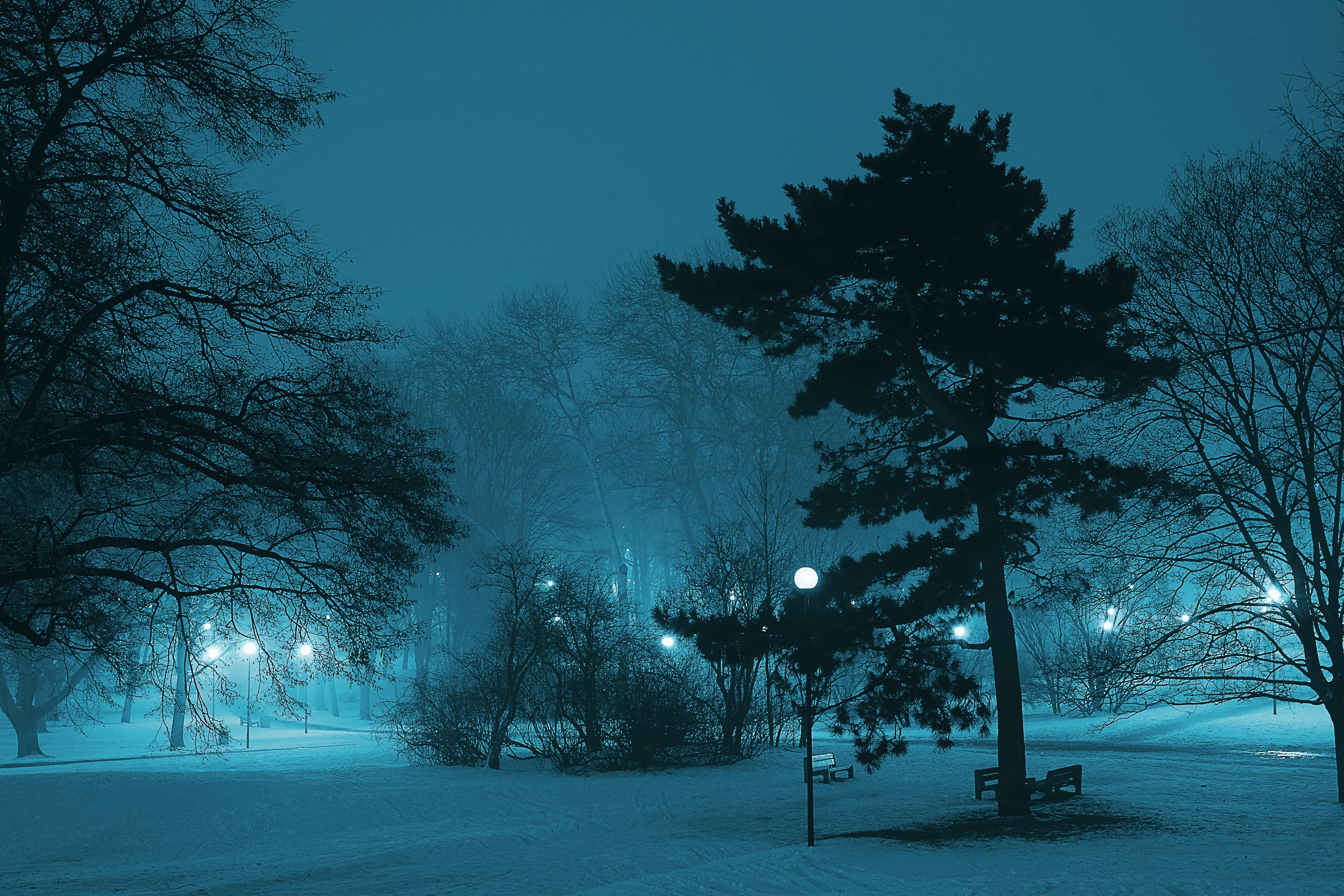Winter Night Photo, Download The BEST