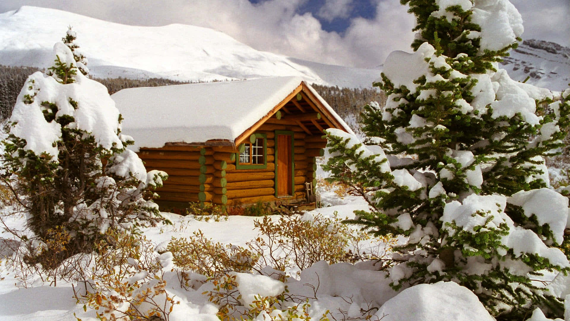 Download Cozy Winter Cabin Surrounded by Snowy Forest Wallpaper