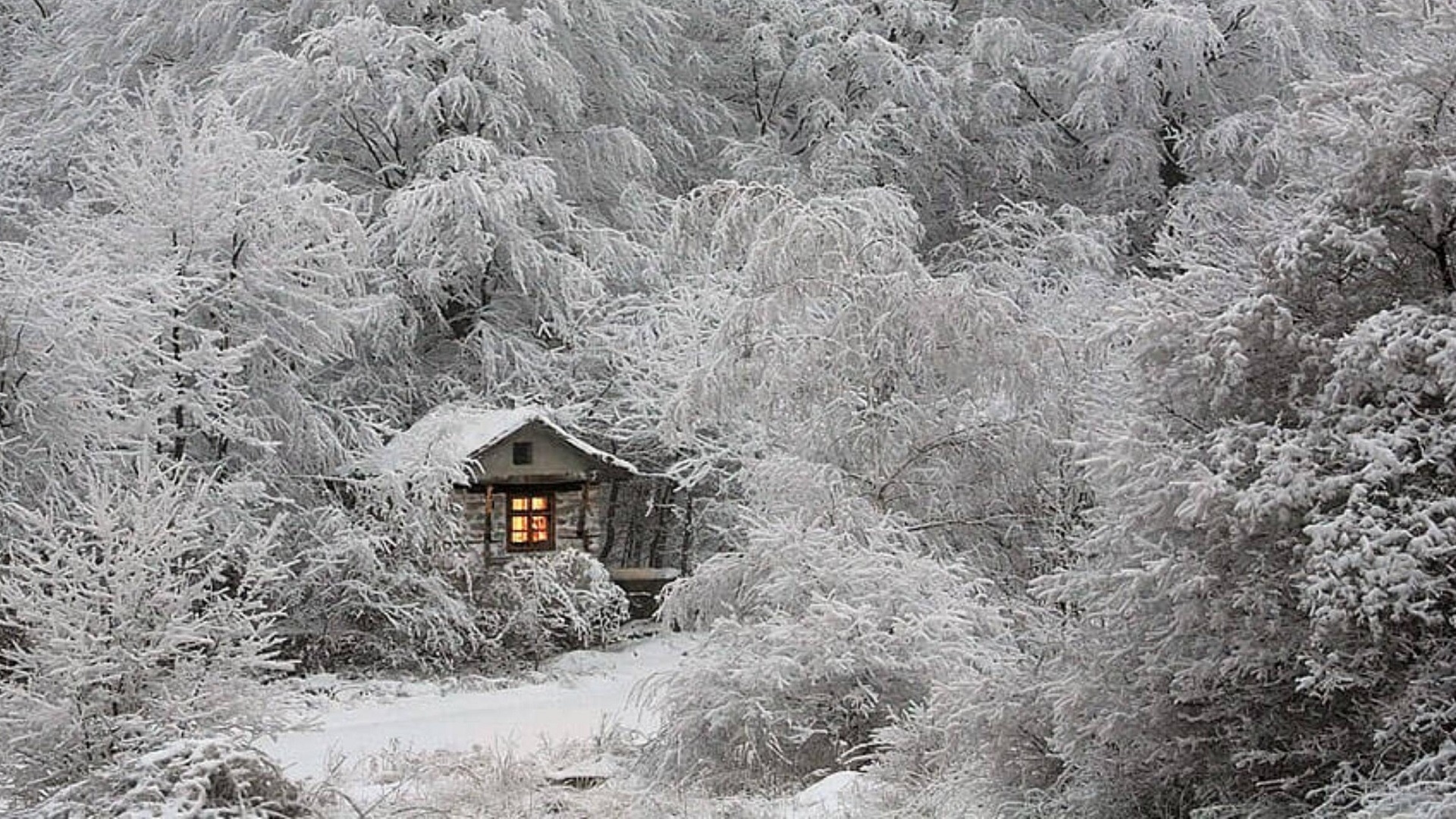 Download 1920x1080 snow cabin, hunting lodge, winter, forest, snow Wallpaper