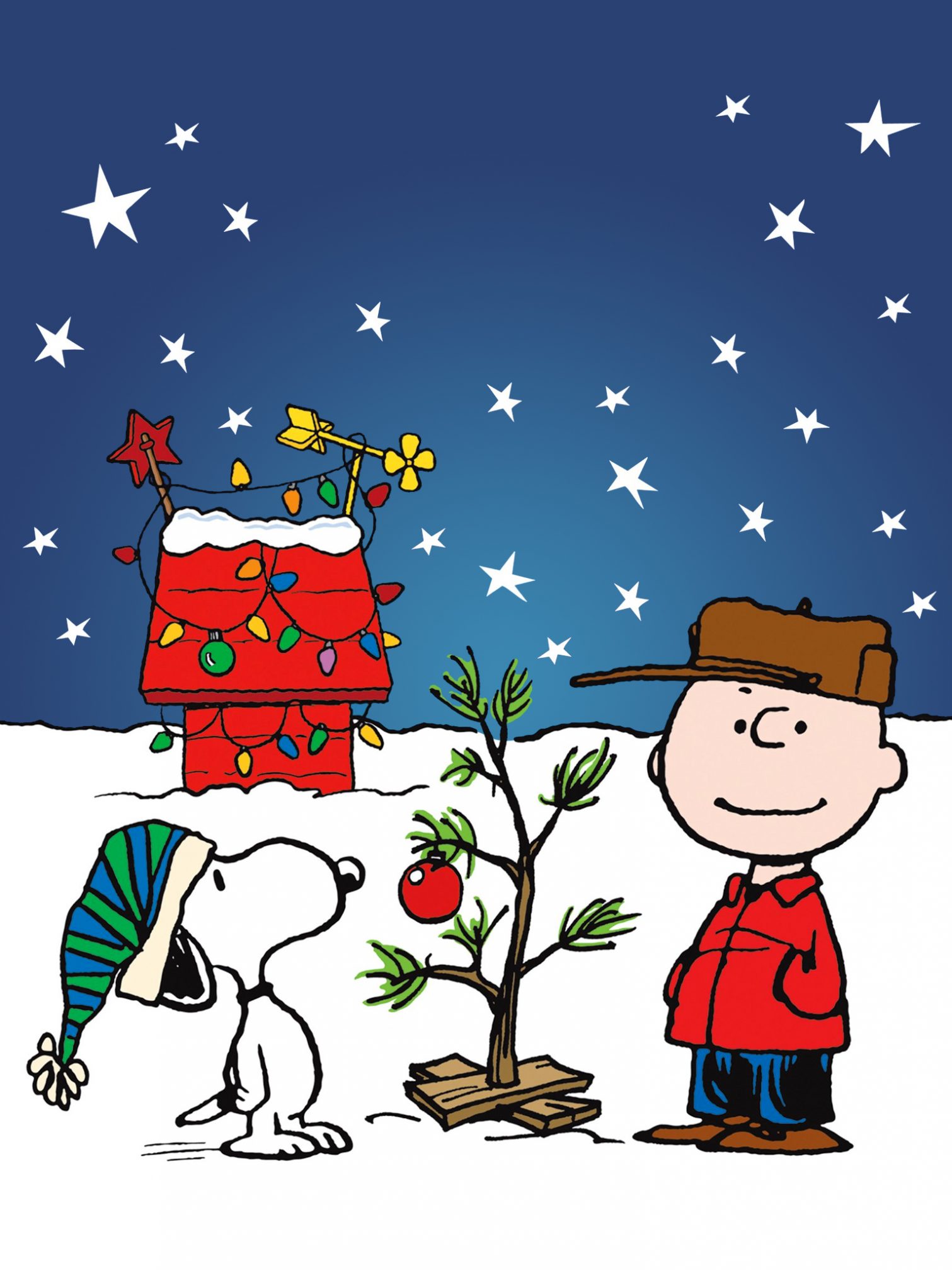 mobile phone wallpaper and lock screen wallpaper!