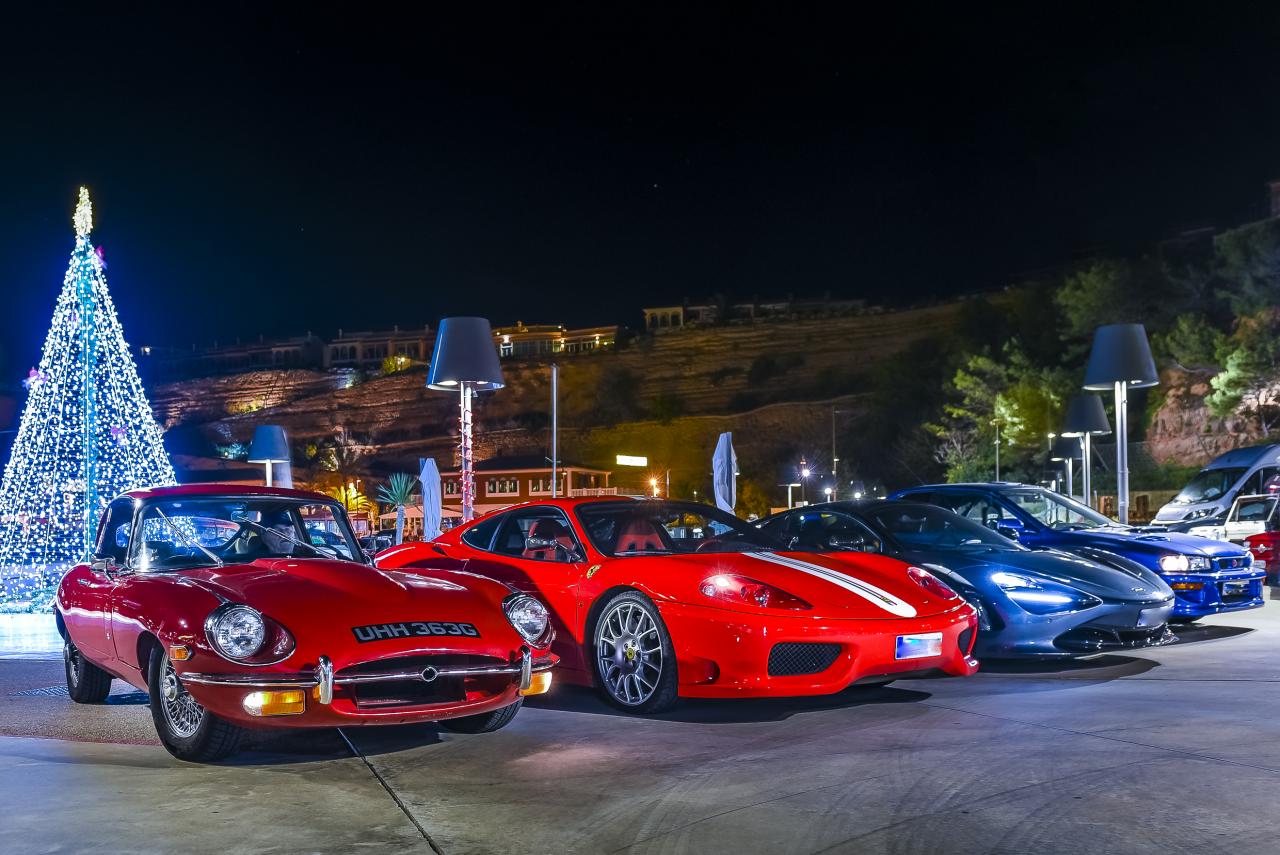 Focus on cars: Under the Tree