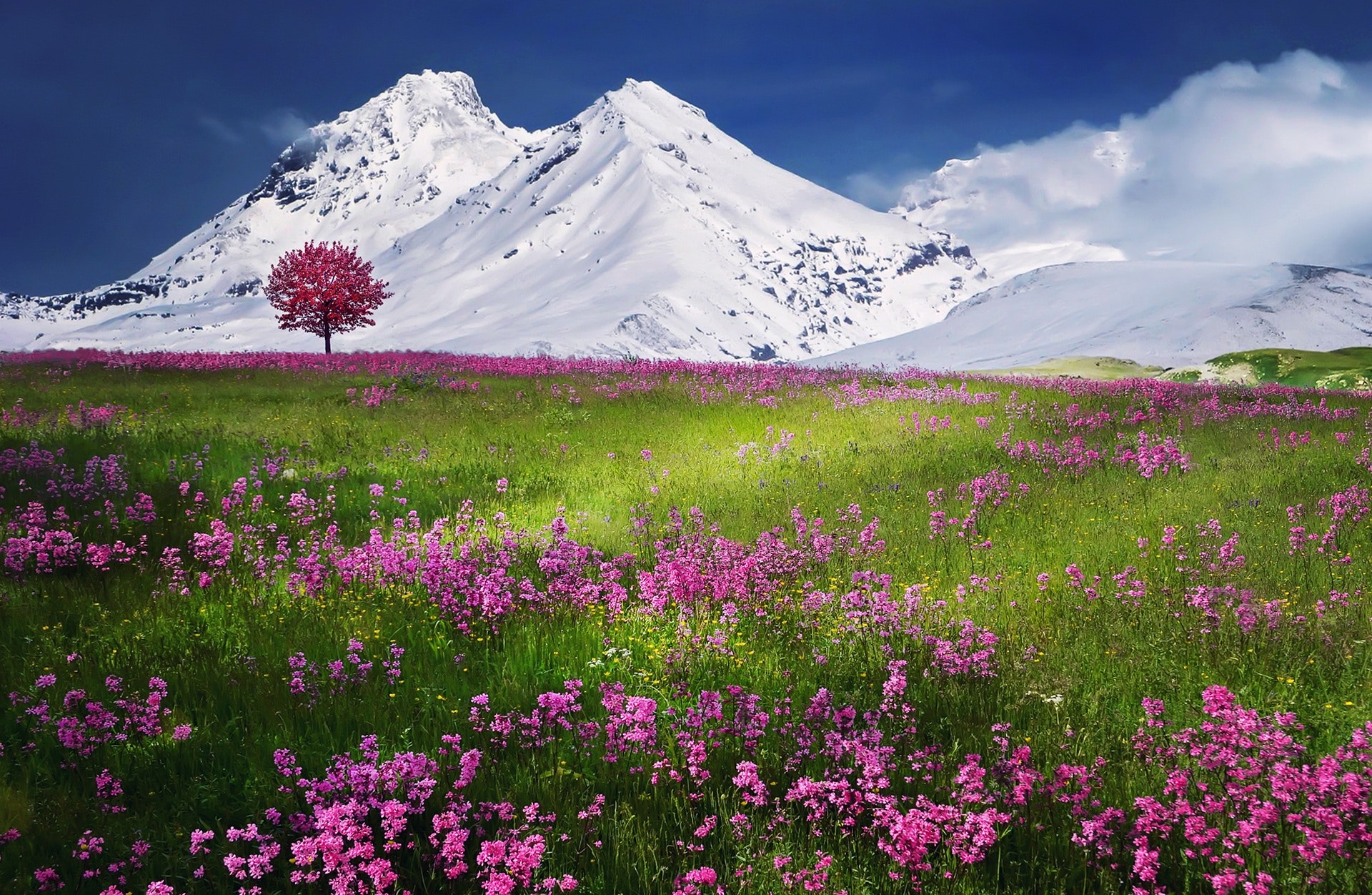 Spring Landscape Photo, Download