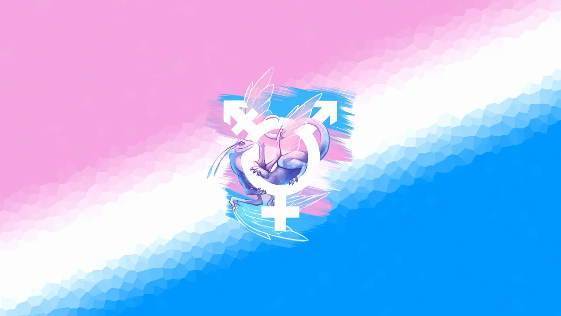 Transgender Wallpaper