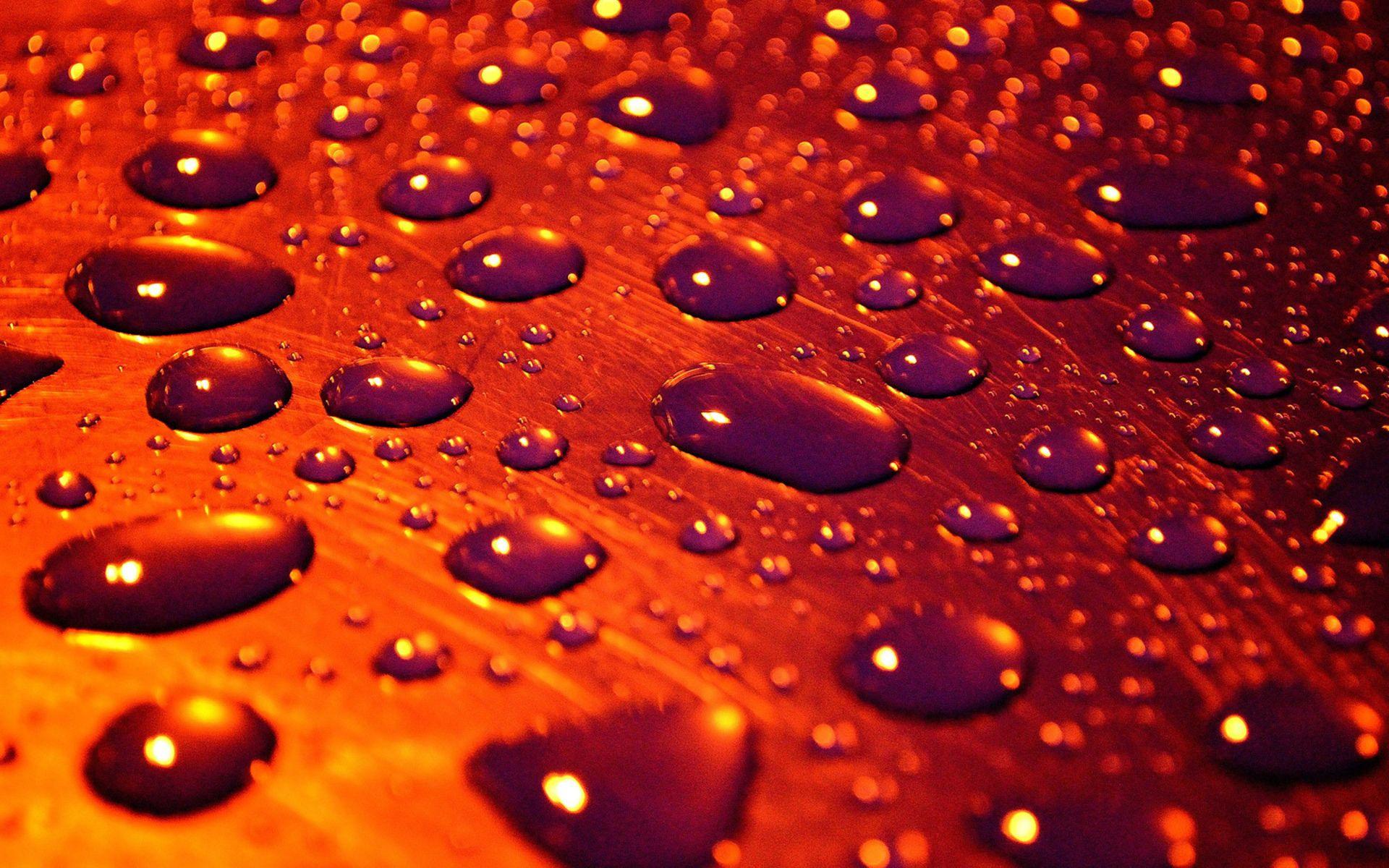 Water Drops Wallpaper