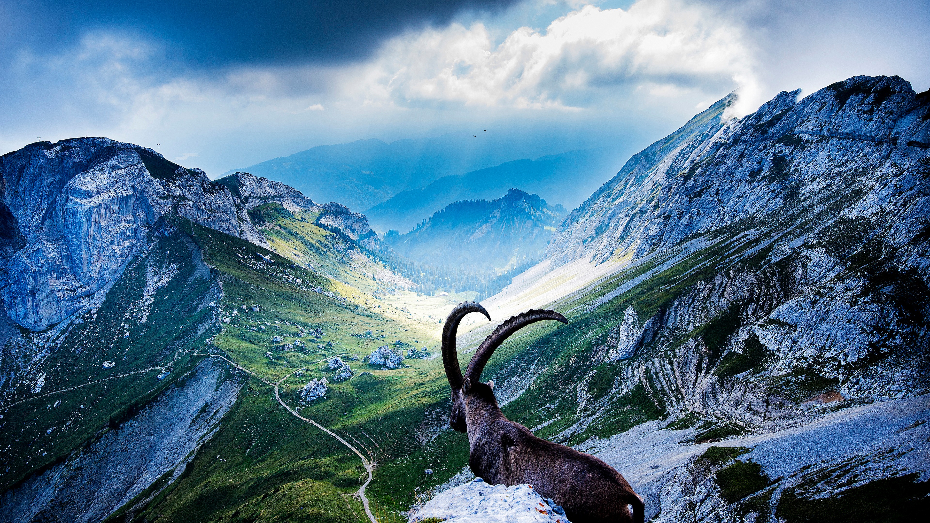 Mount Pilatus Wallpaper 4K, Goat, Landscape, Valley, Clouds