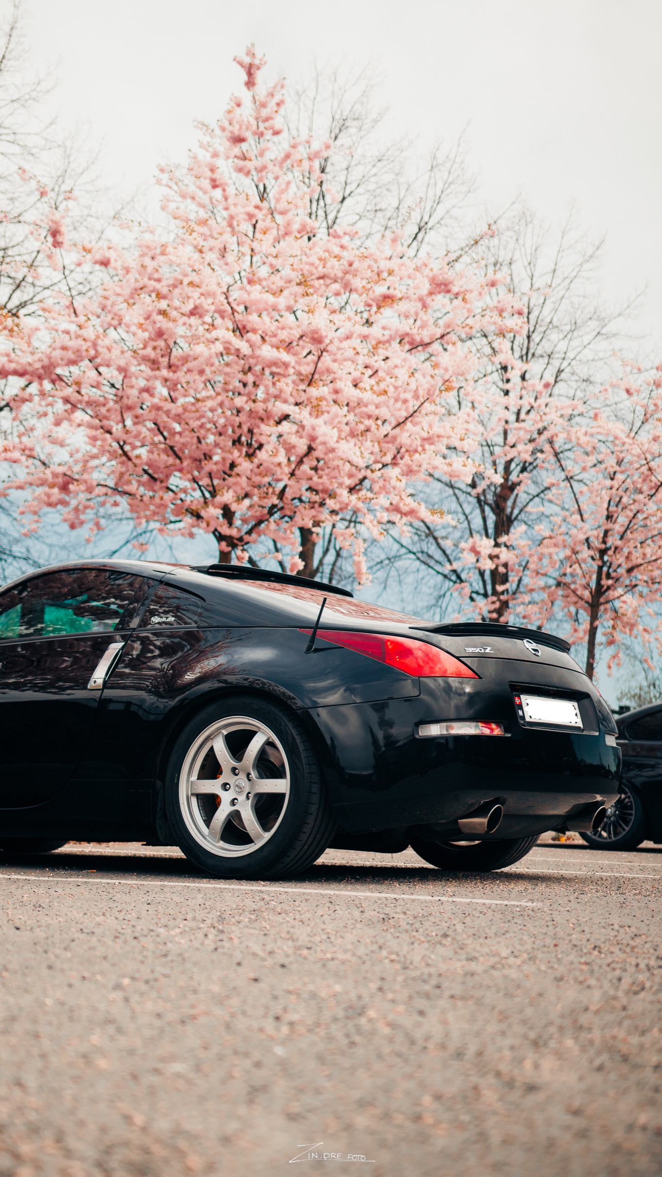Nissan has finally sprung, which means it's time for cherry blossoms! Where are you most excited to explore this season with your # Nissan? Z #NissanXTerra #NissanXTrail