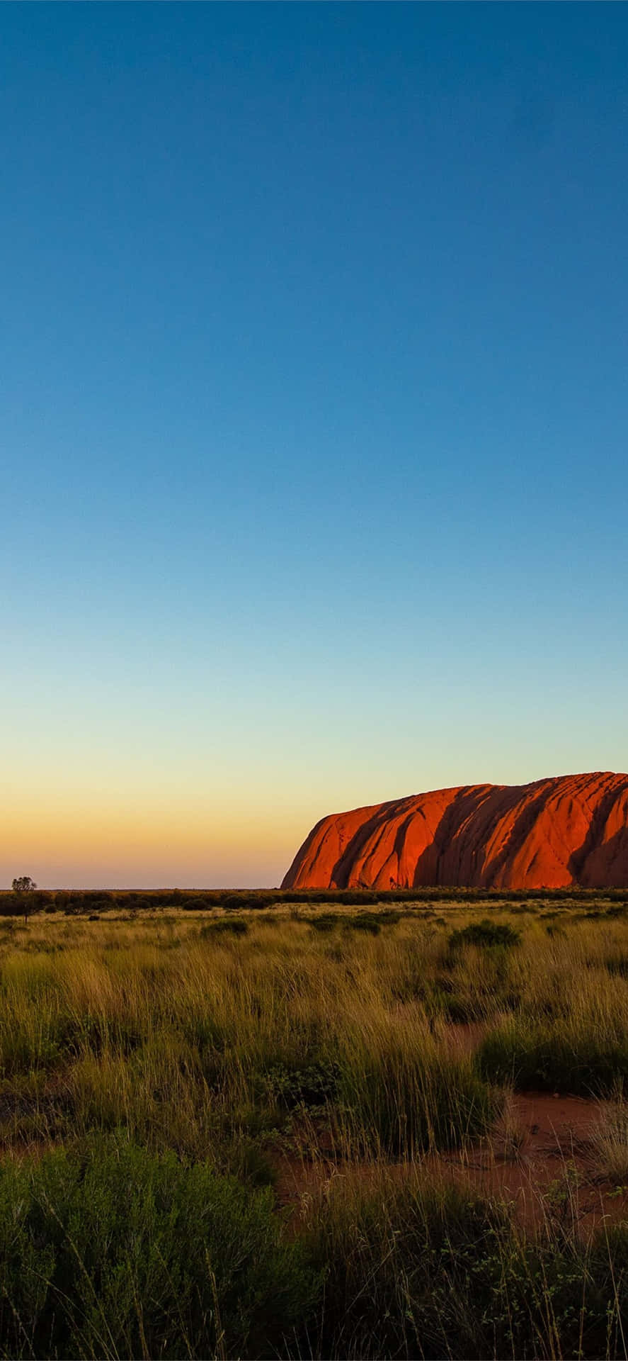 Download Uluru Yellow Blue Sky Wallpaper