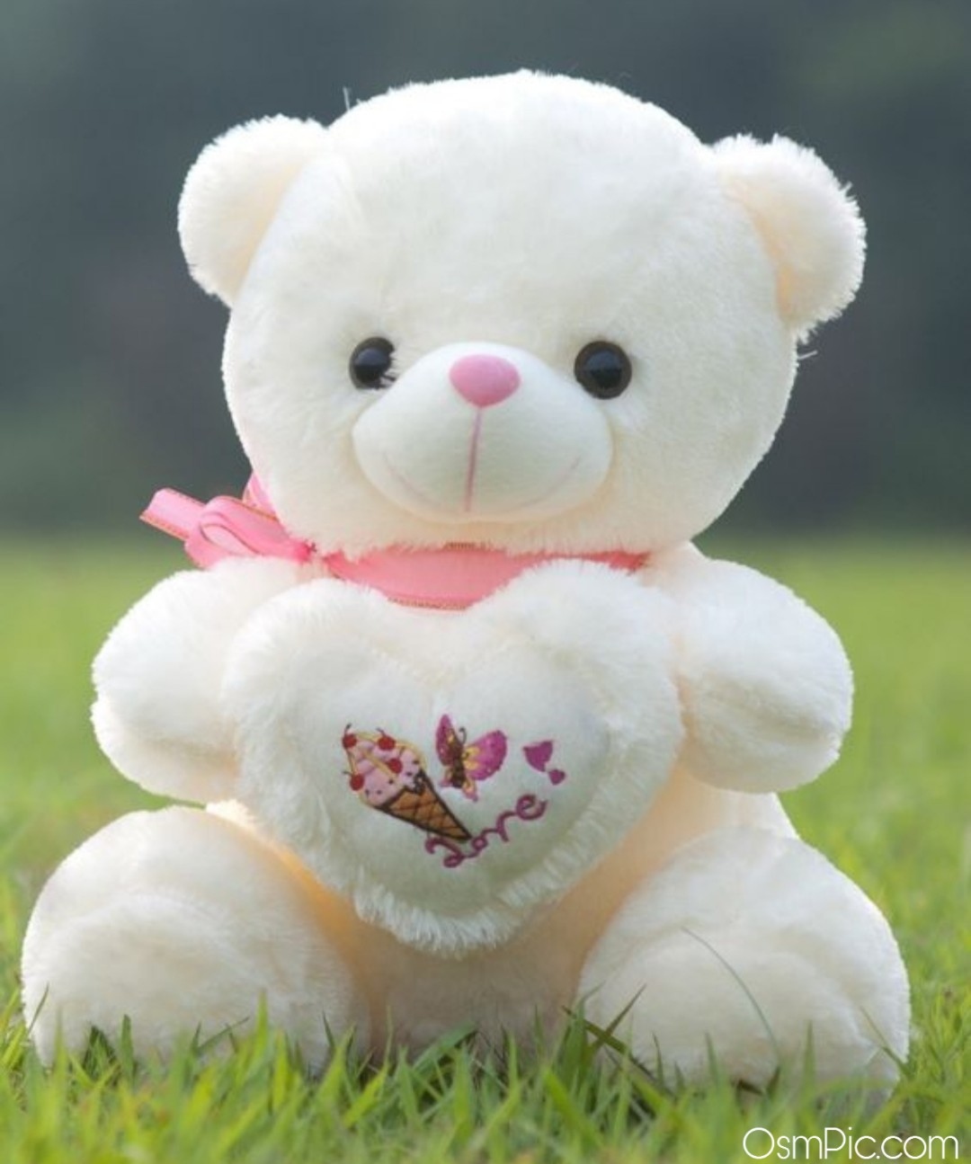 Love toy Wallpaper Download