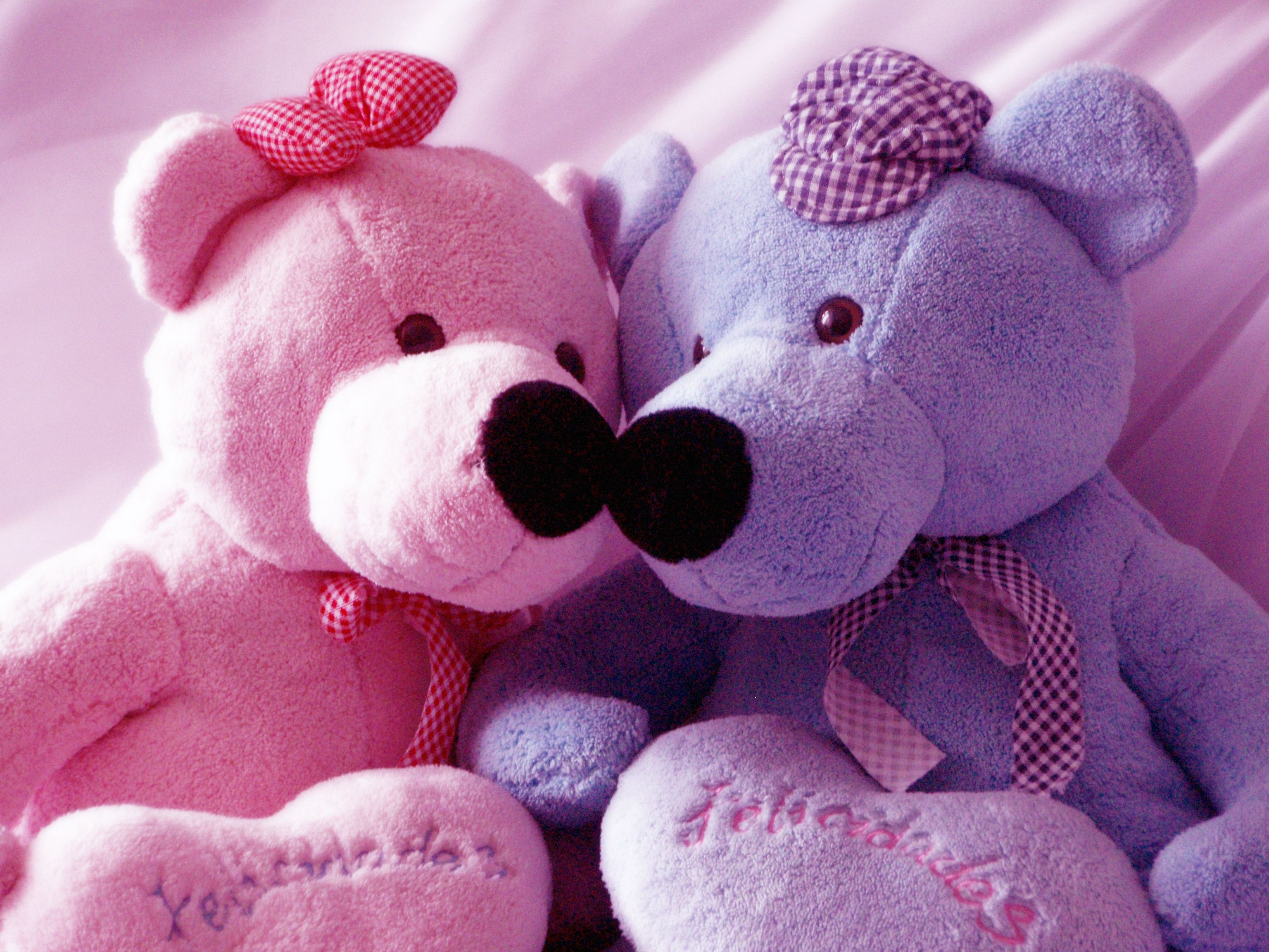 Holiday Valentine's Day HD Wallpaper