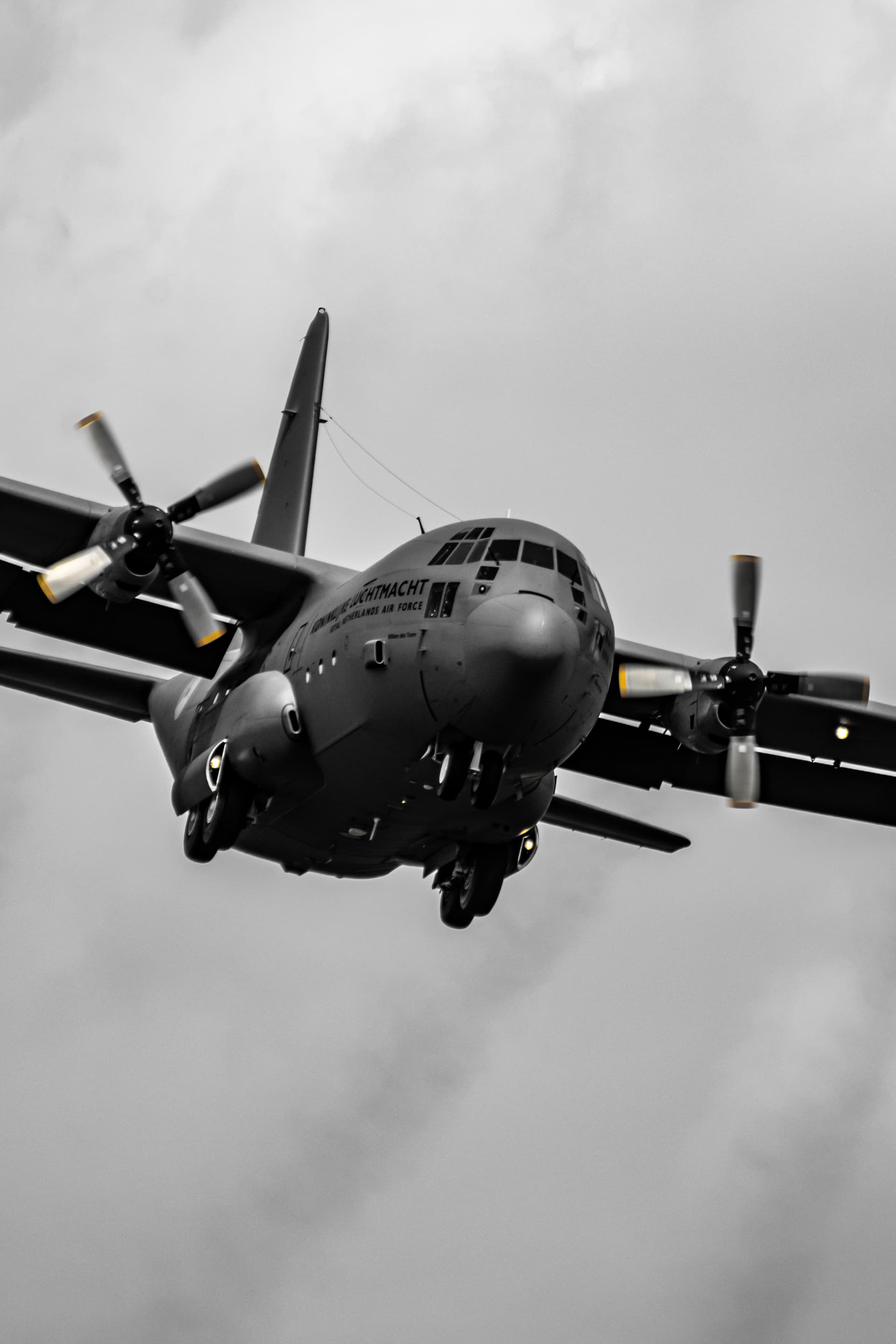 Mysterious birds at local airport // EHEH Flight Community