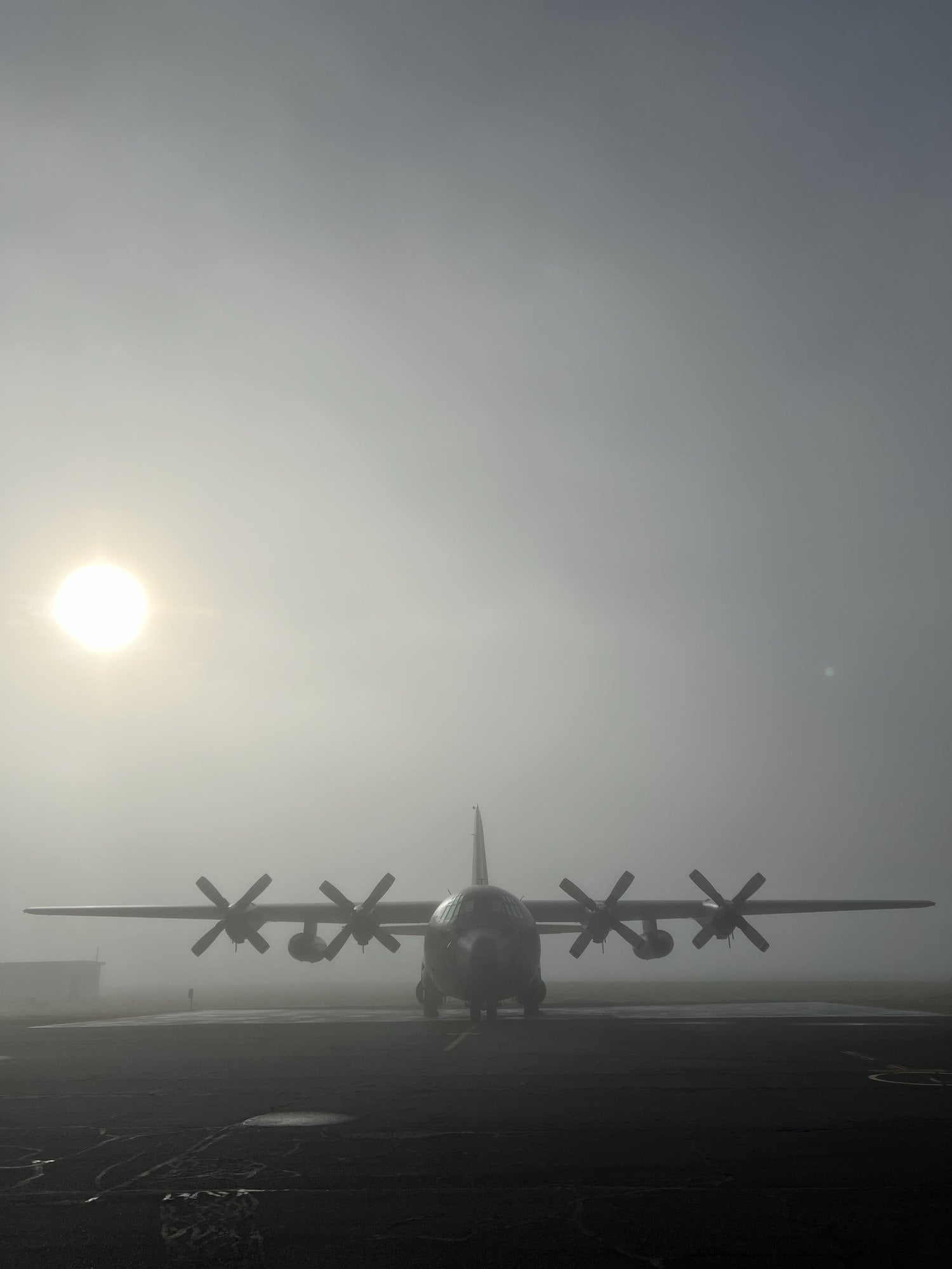 Reddit into anything