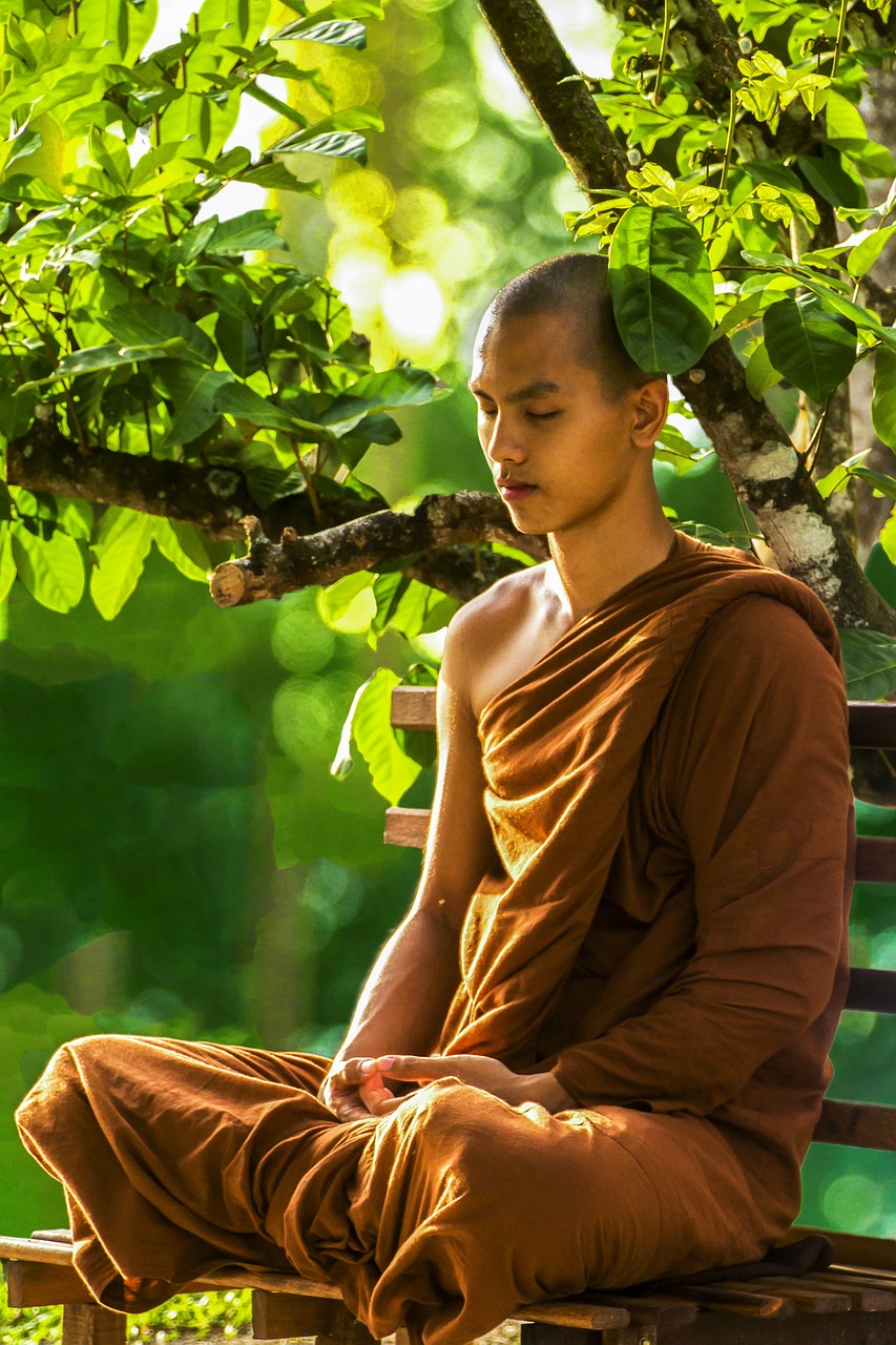 Free Bhikkhu & Monk Image
