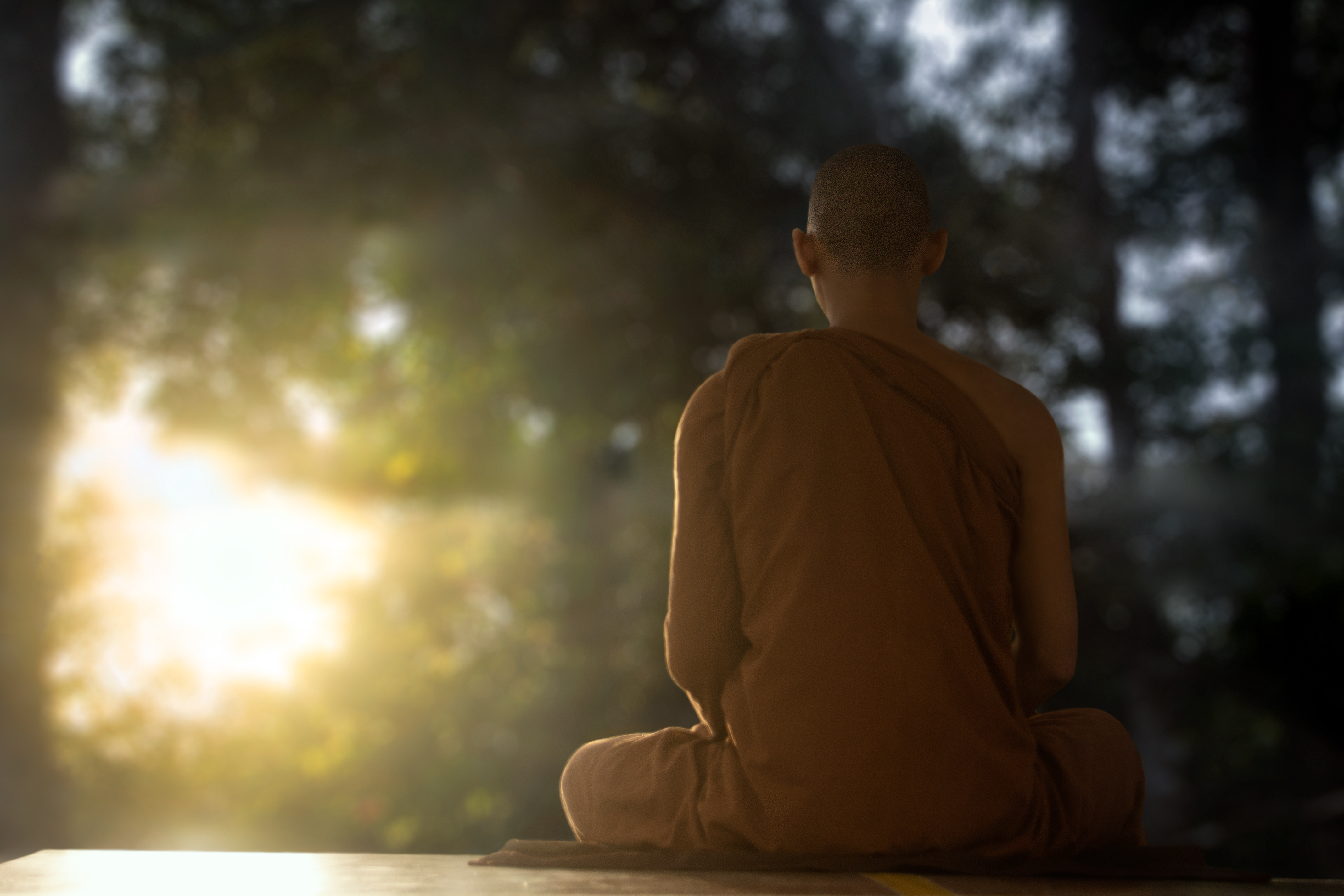 Free Image, monk, meditating, meditation, dusk, buddhist, theravada buddhism, sunset, cloud, sky, flash photography, sunlight, automotive lighting, tree, wood, Tints and shades, grass, heat, lens flare, backlighting, darkness, human leg, sunrise