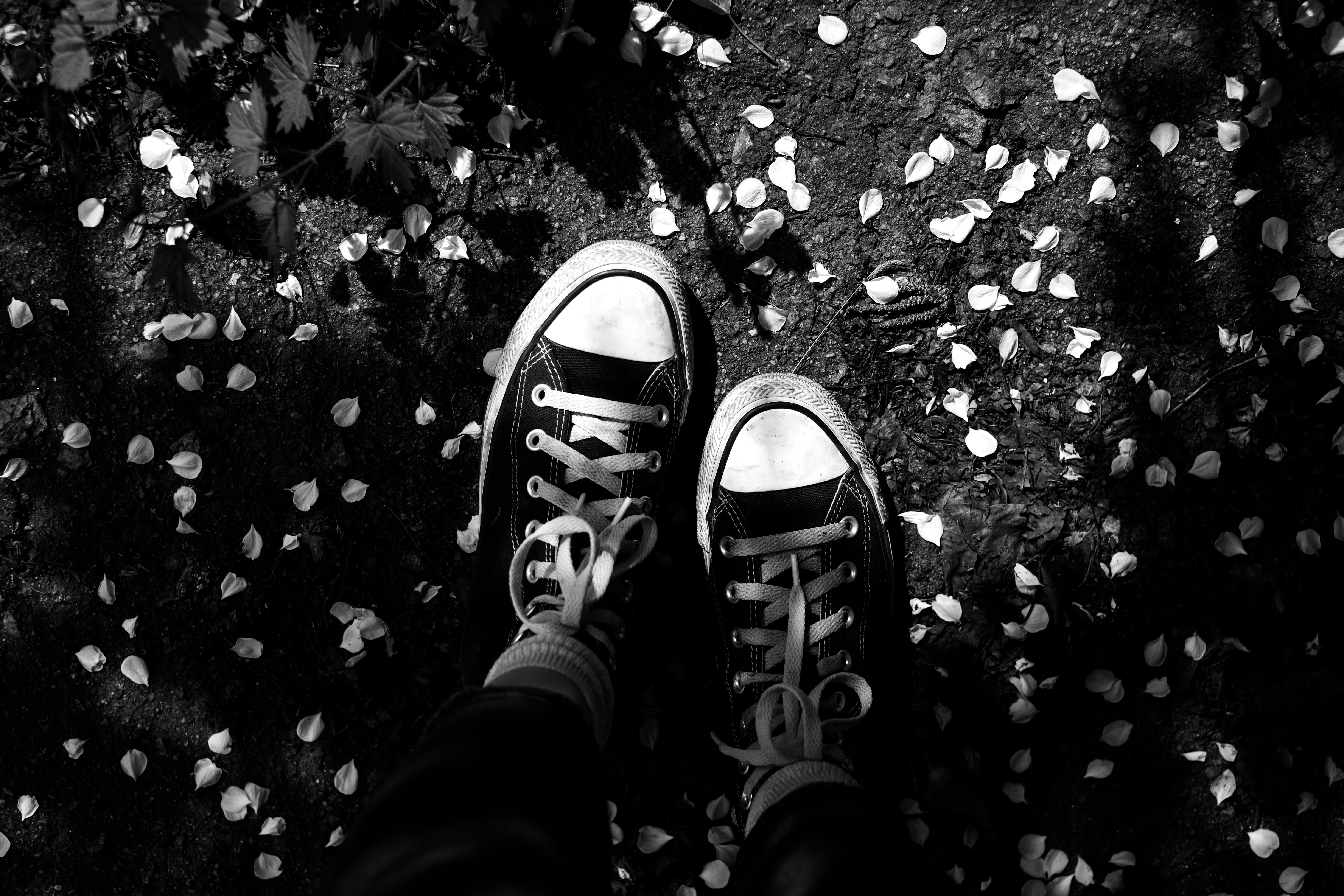 Person Wearing Black and White Sneakers · Free
