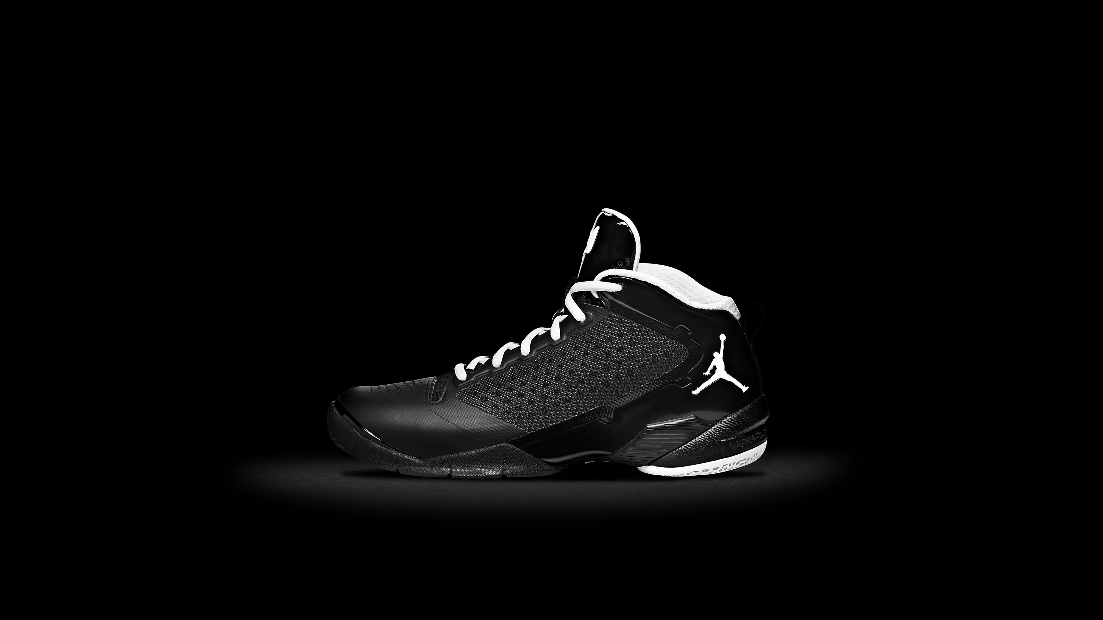 Jordan Fly Wade Nike Shoe Art