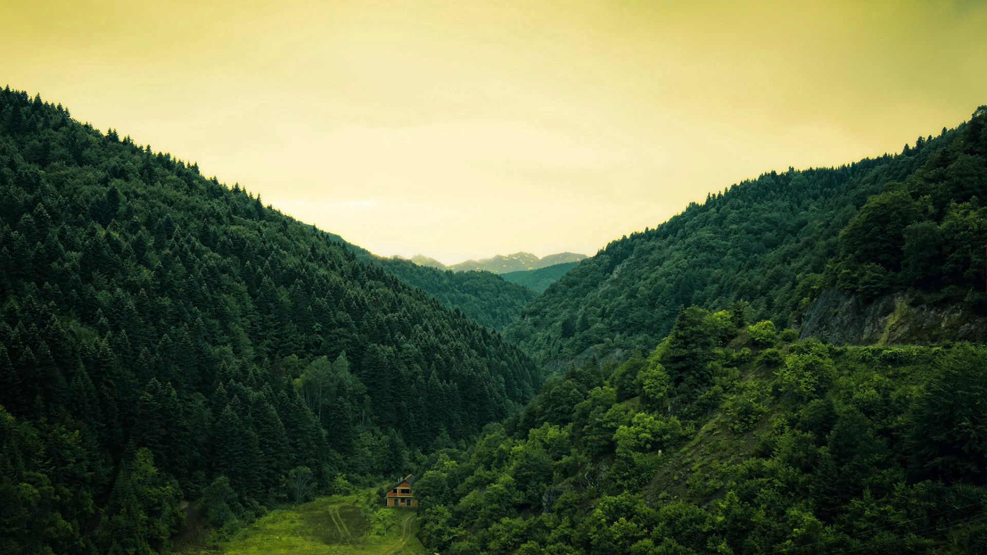 Mobile wallpaper: Forest, Backwoods, Mountains, Lodge, Boondocks, Nature, Small House, 96250 download the picture for free