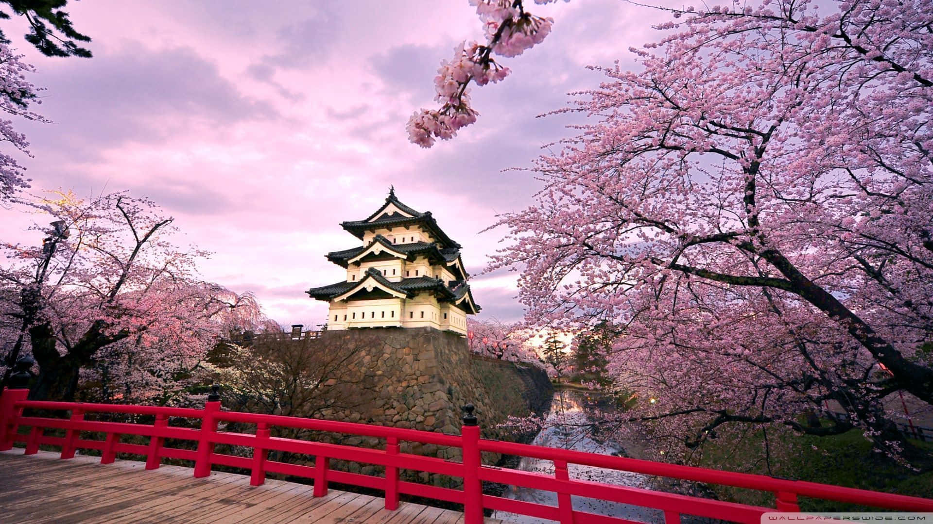 Download A Cool Japanese Tree Beside A Pagoda Wallpaper