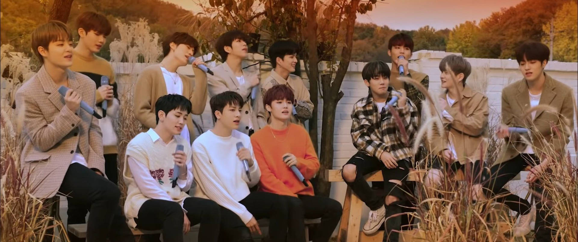 Download Treasure Orange Wallpaper