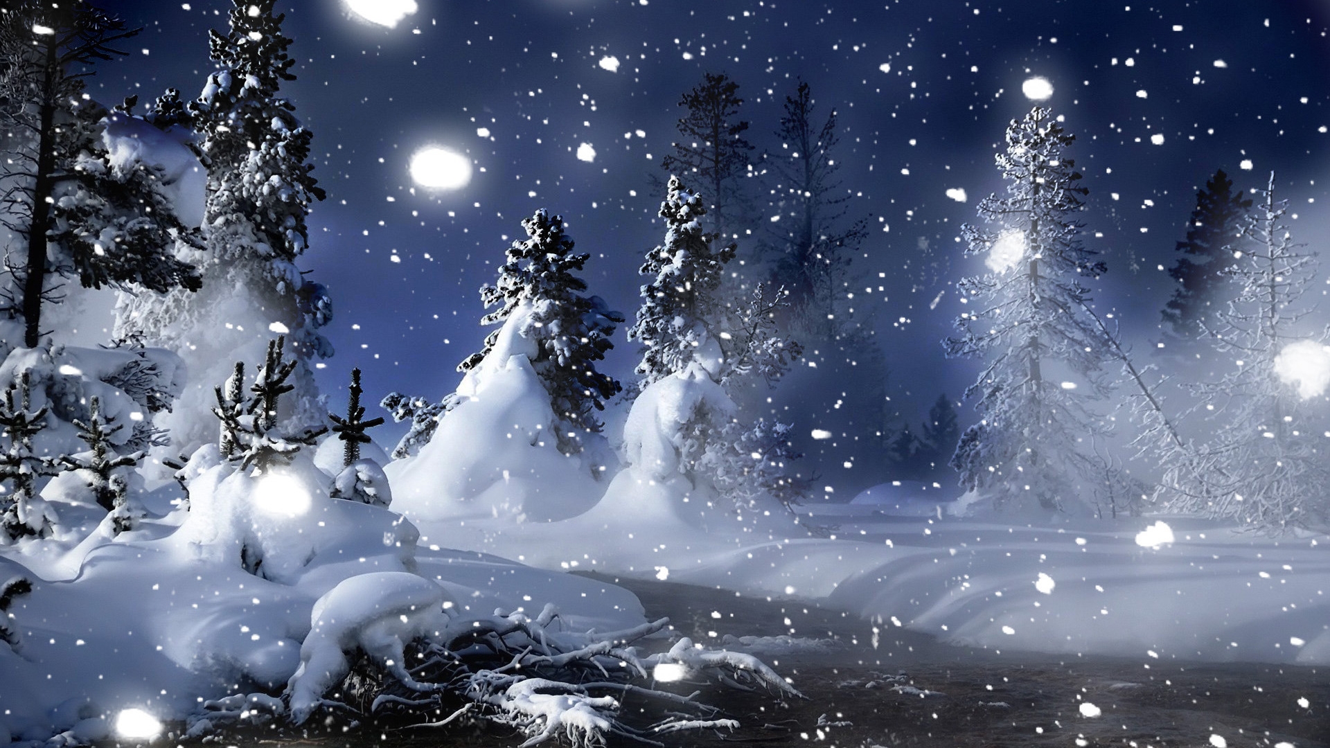 Winter Night in Park 1920 x 1080 HDTV 1080p Wallpaper