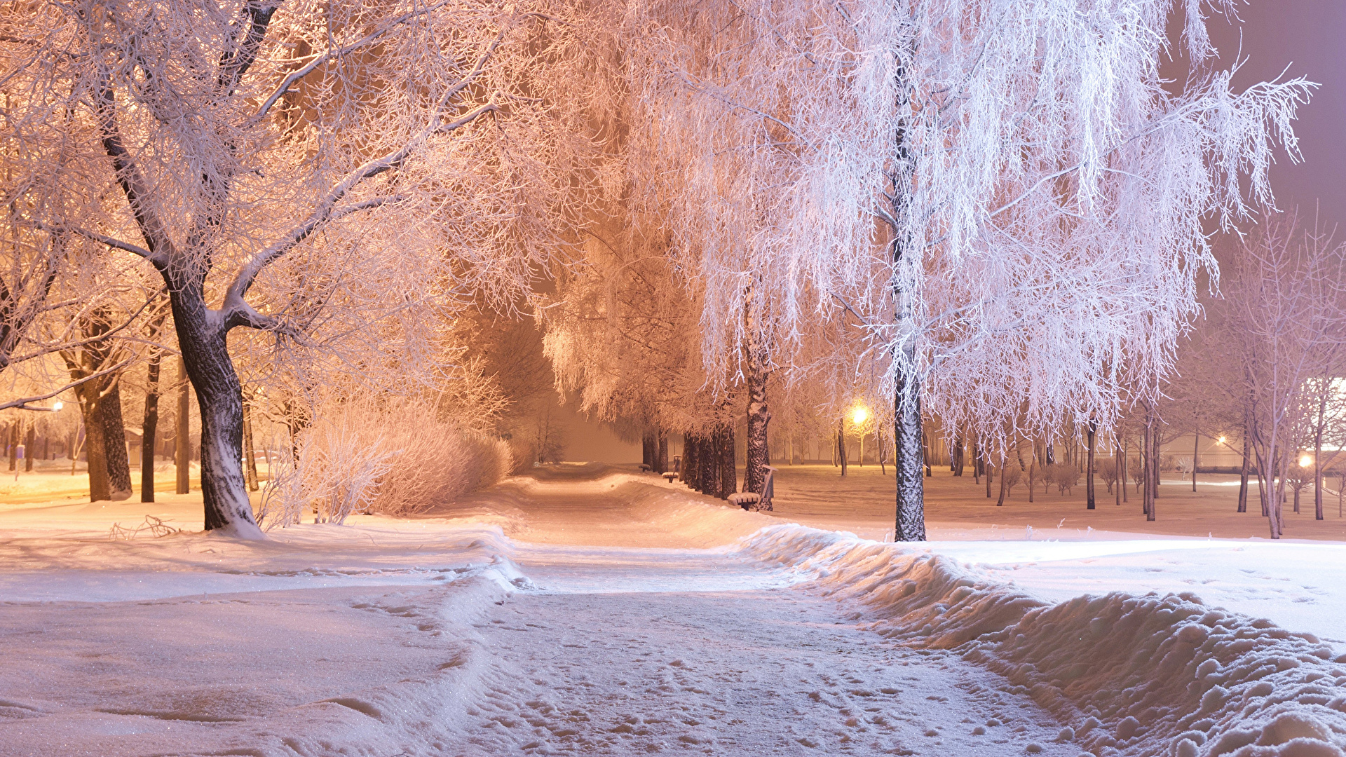 Wallpaper Winter park Snow Night Trees Cities 1920x1080