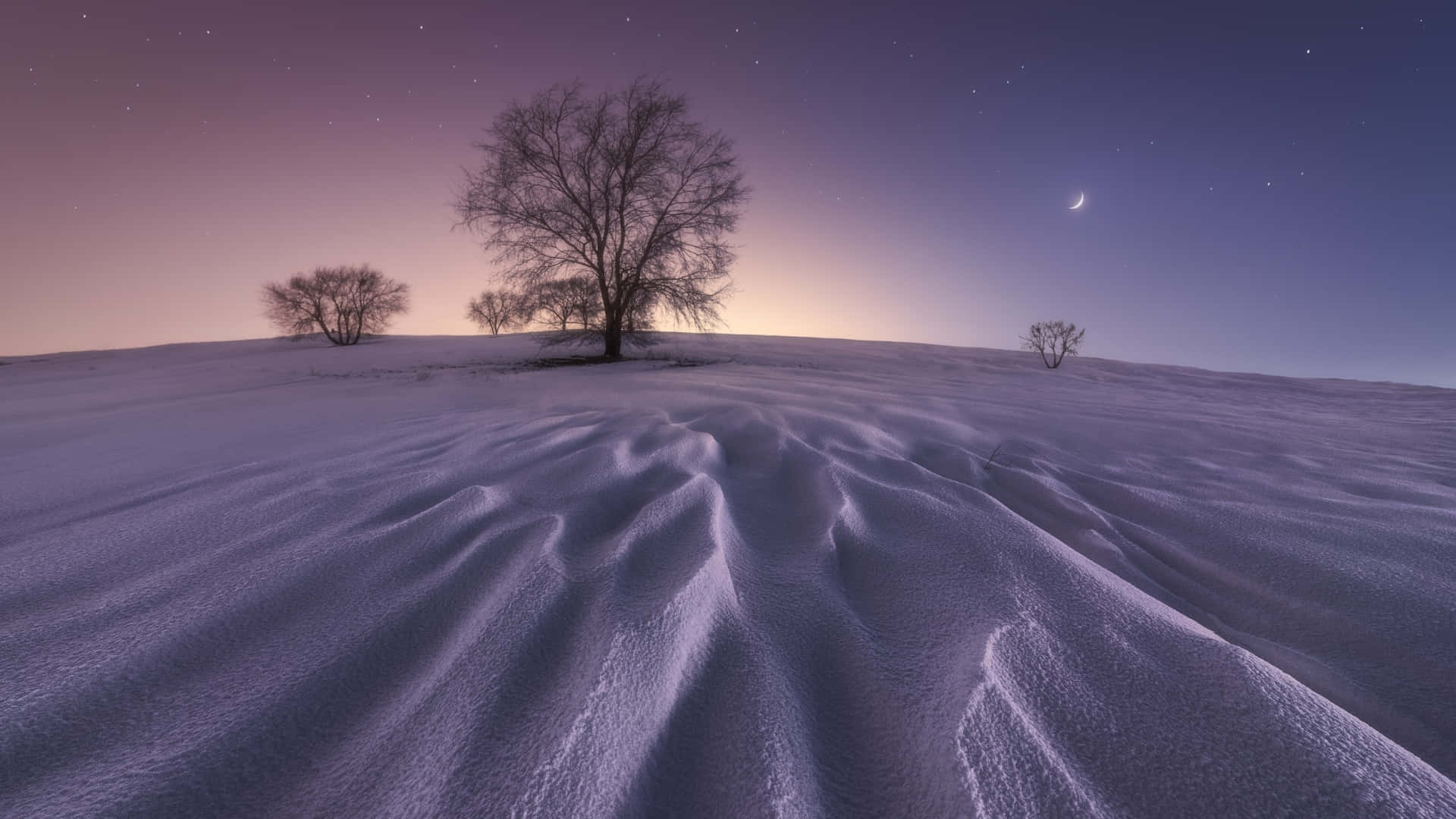 Download A Winter Wonderland in 1920x1080