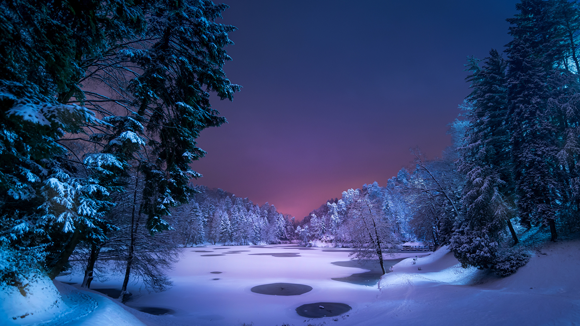 Wallpaper Winter Spruce Nature Snow Night Trees 1920x1080