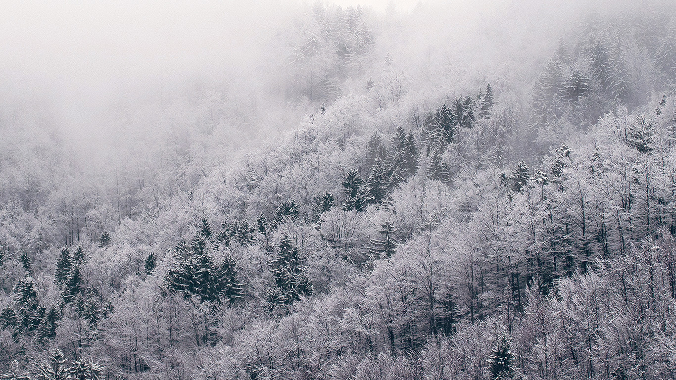 Mountain Wood Winter Christmas White Green Wallpaper